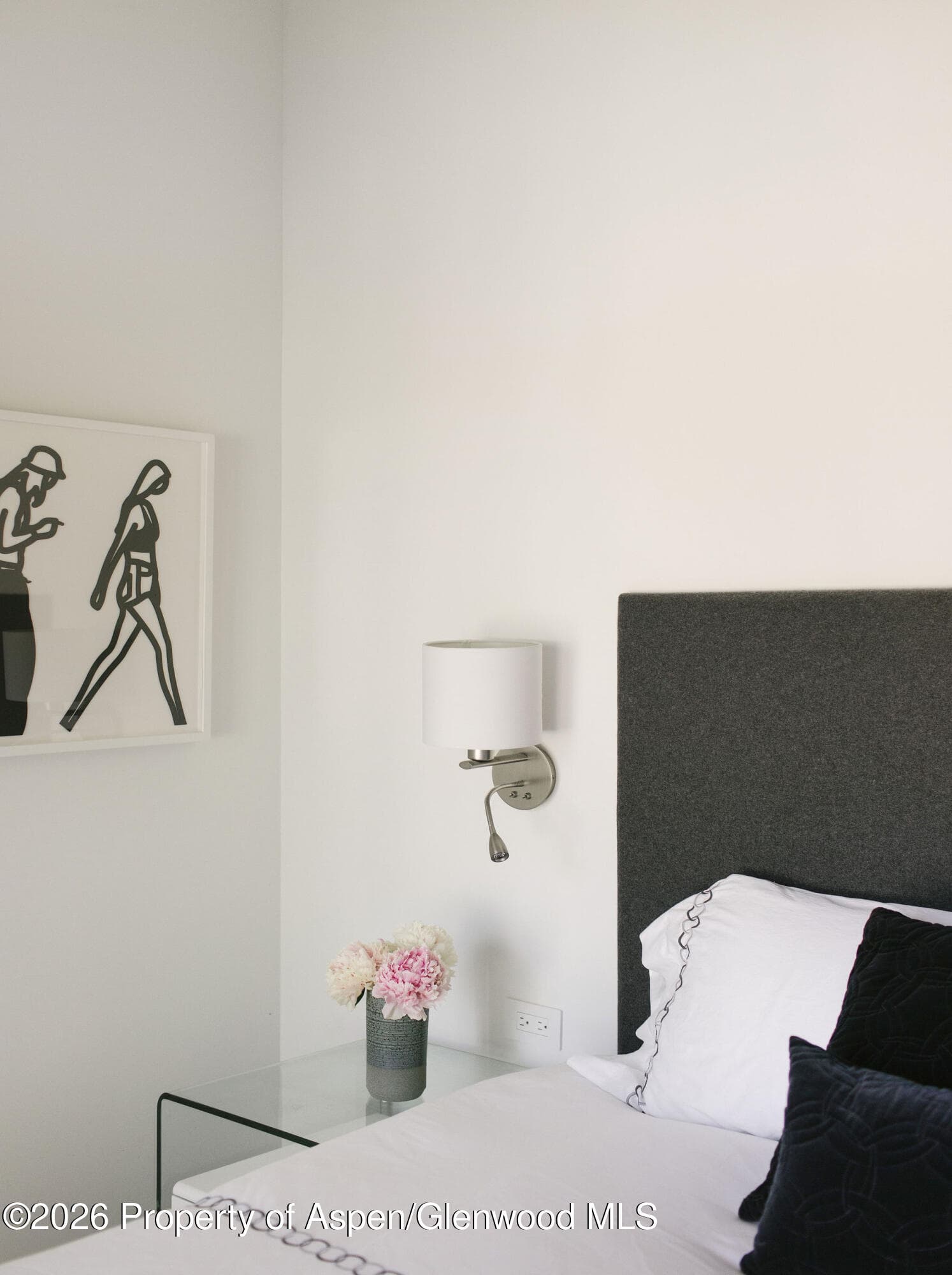 950 E Durant Avenue 4, Aspen, CO 81611 - Photo 20