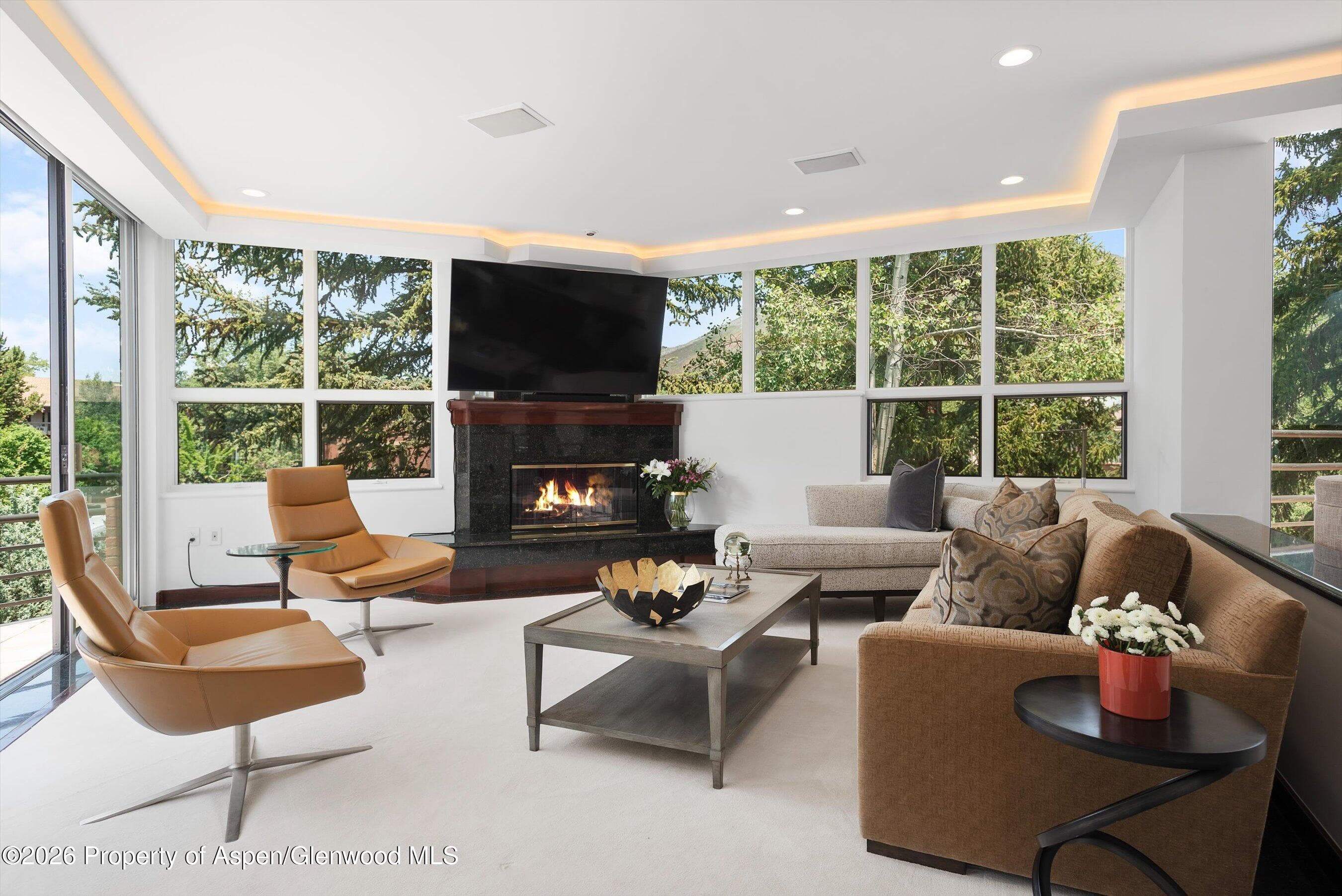 208 S Spring Street #1, Aspen, CO 81611 - Photo 3