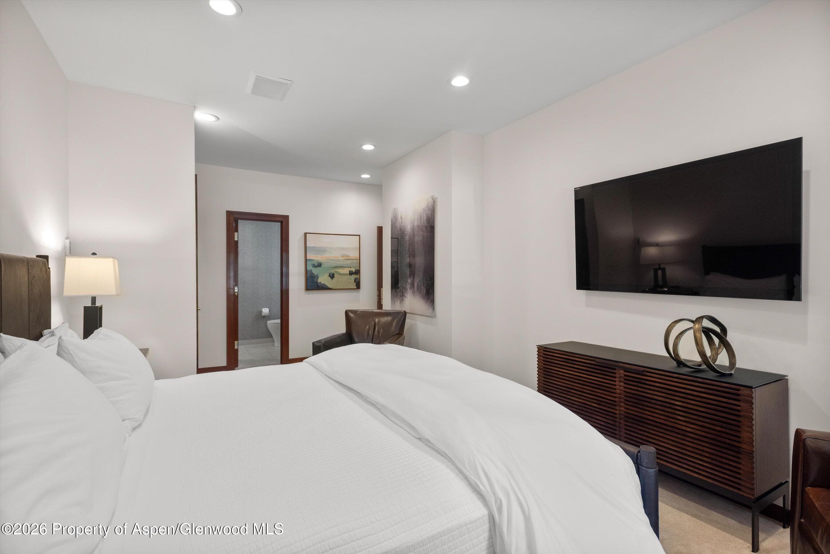 208 S Spring Street #1, Aspen, CO 81611 - Photo 23