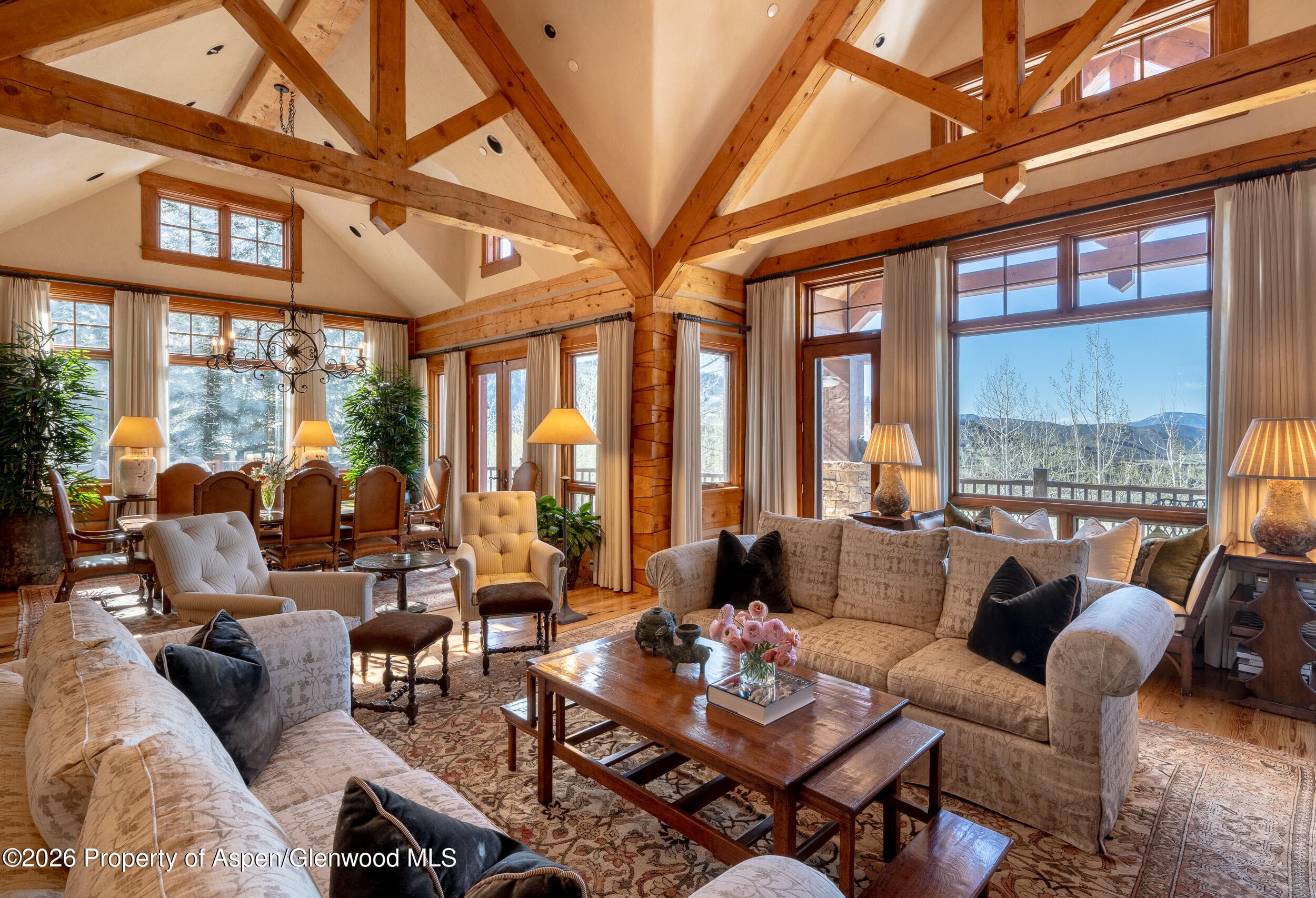 56 Five Trees Lane, Aspen, CO 81611 - Photo 6