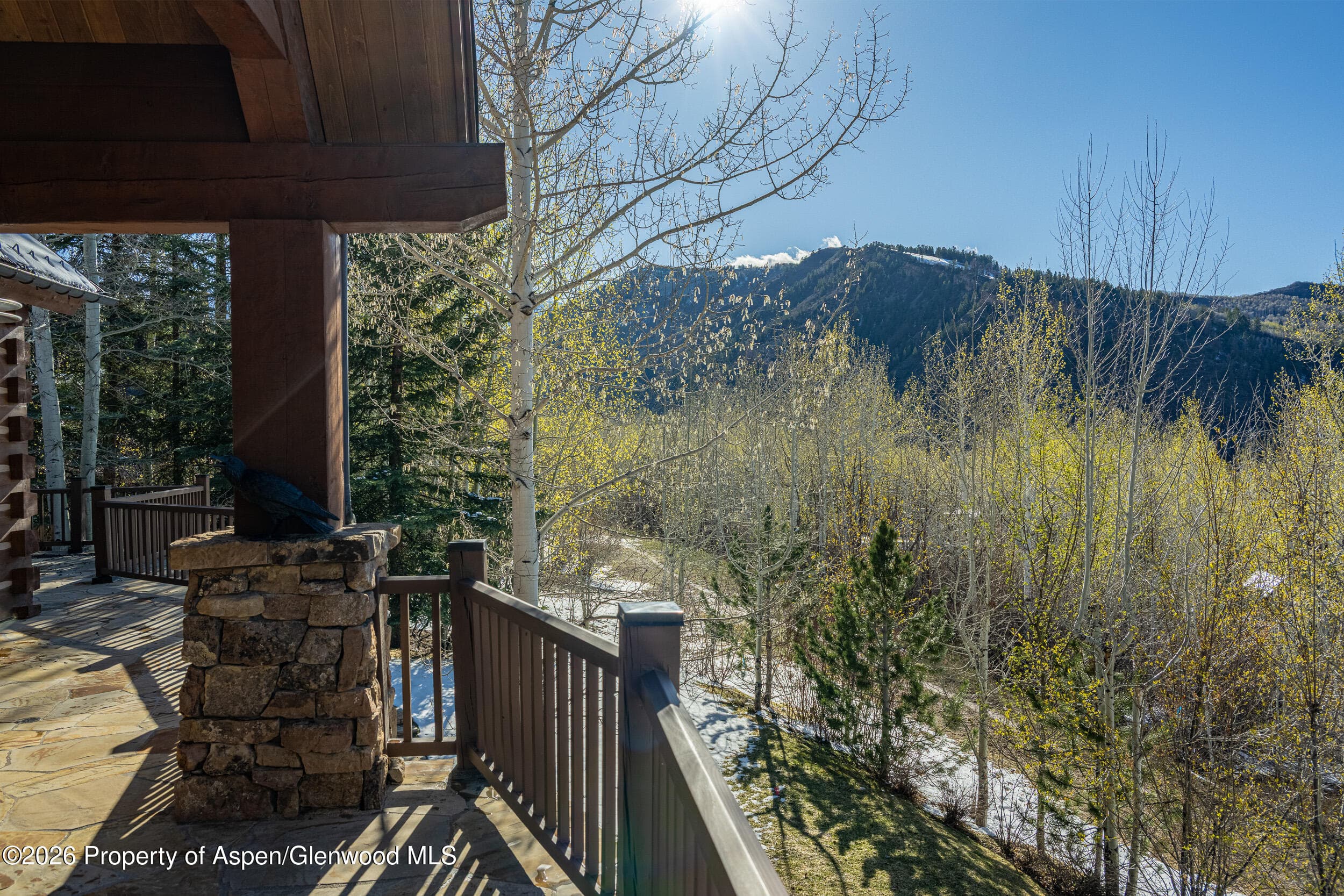 56 Five Trees Lane, Aspen, CO 81611 - Photo 38
