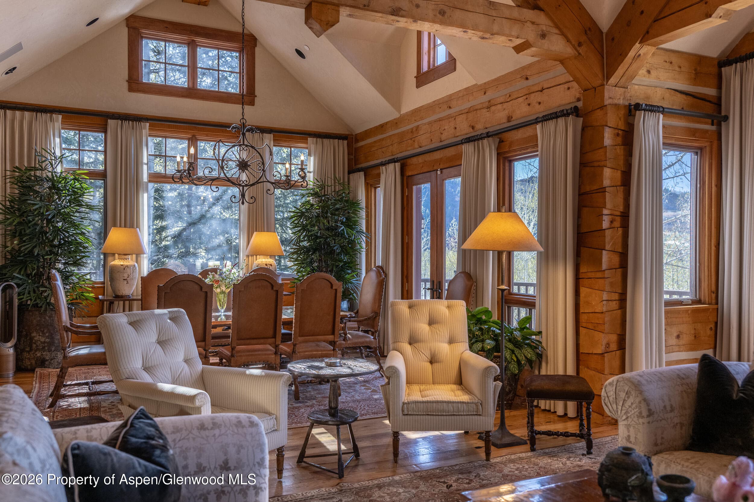 56 Five Trees Lane, Aspen, CO 81611 - Photo 13