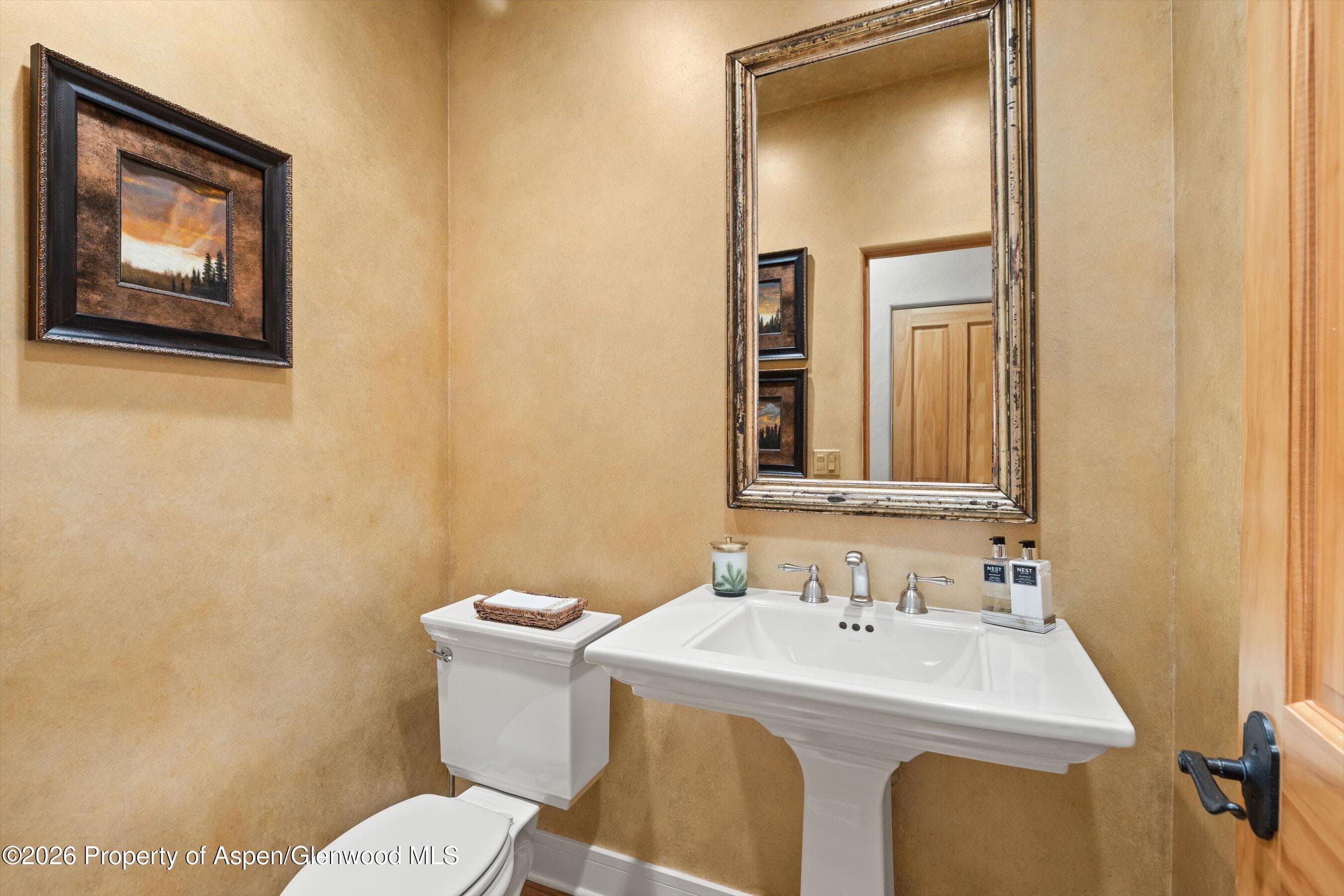 31 Primrose Road, Carbondale, CO 81623 - Photo 21