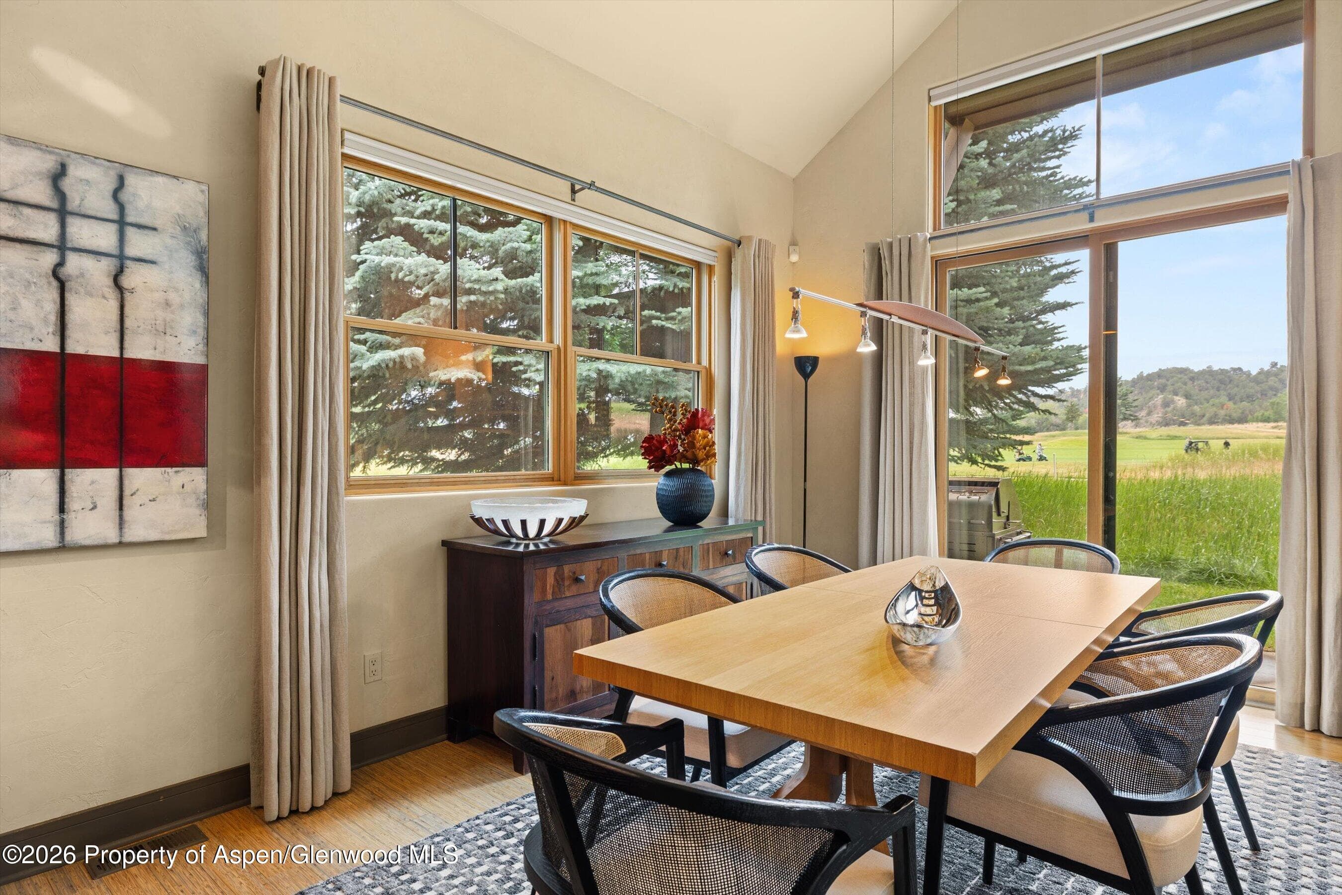 31 Primrose Road, Carbondale, CO 81623 - Photo 7