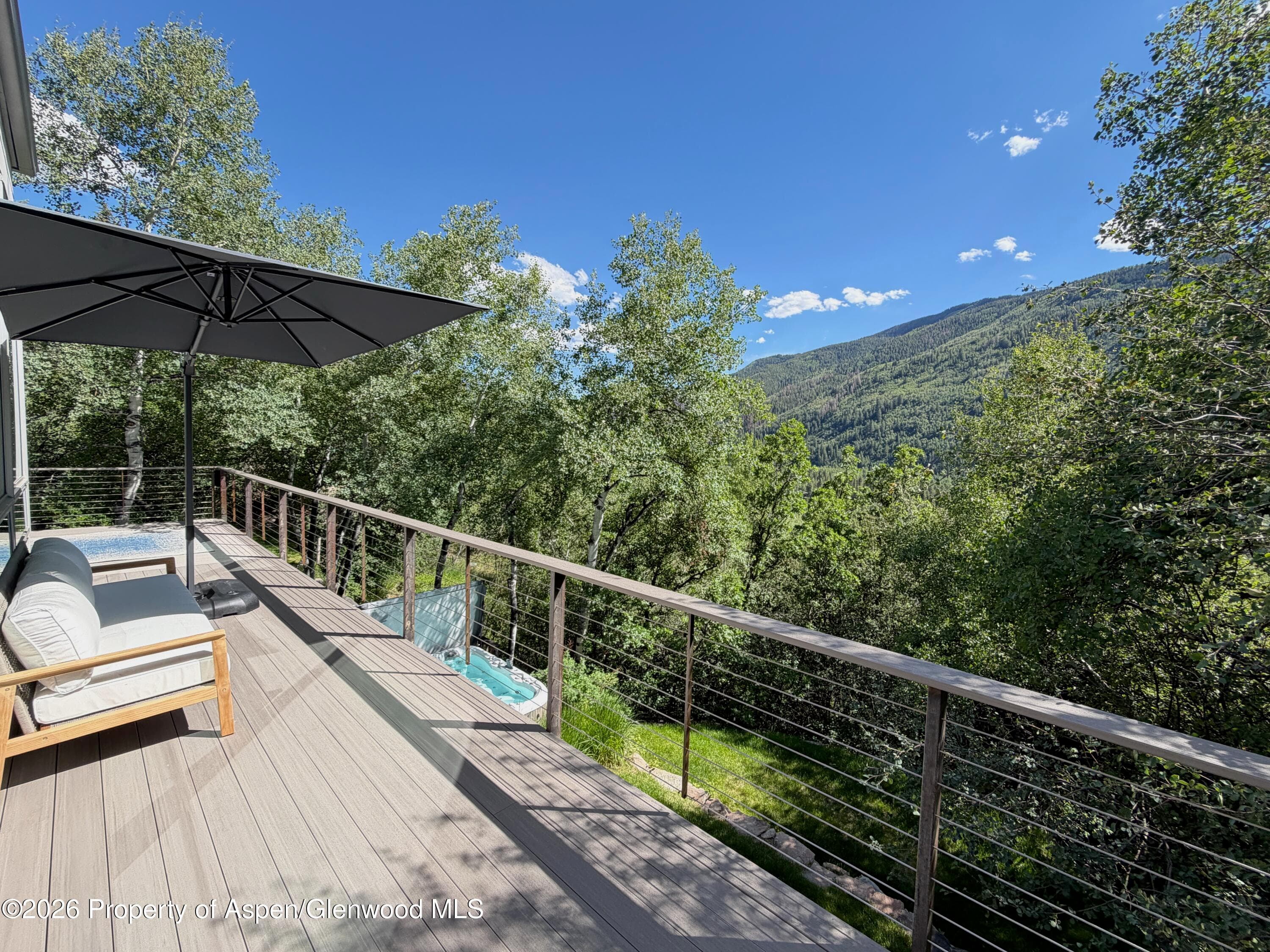 602 Mountain Laurel Drive, Aspen, CO 81611 - Photo 3