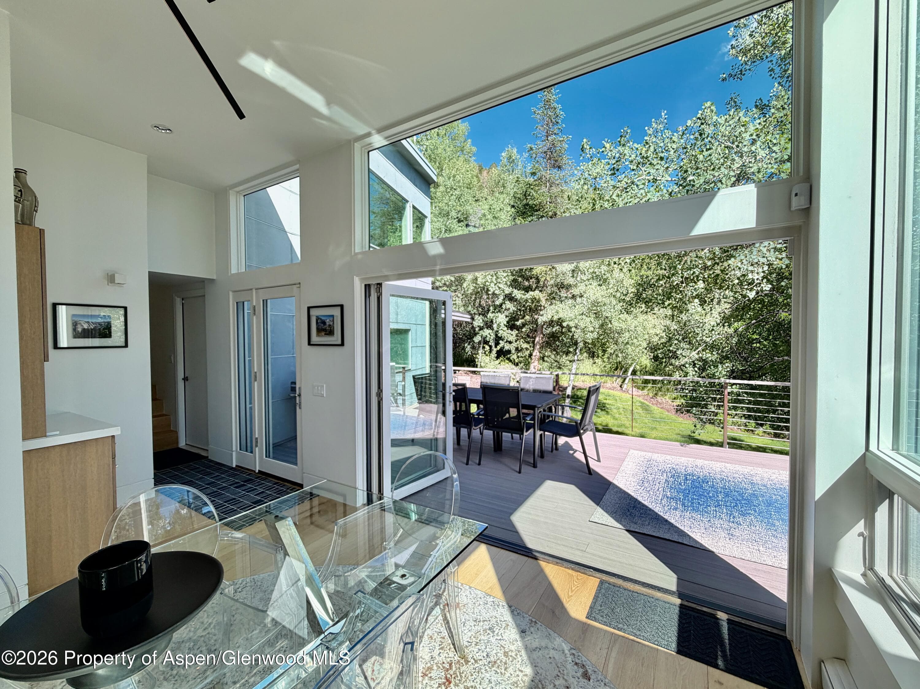602 Mountain Laurel Drive, Aspen, CO 81611 - Photo 8