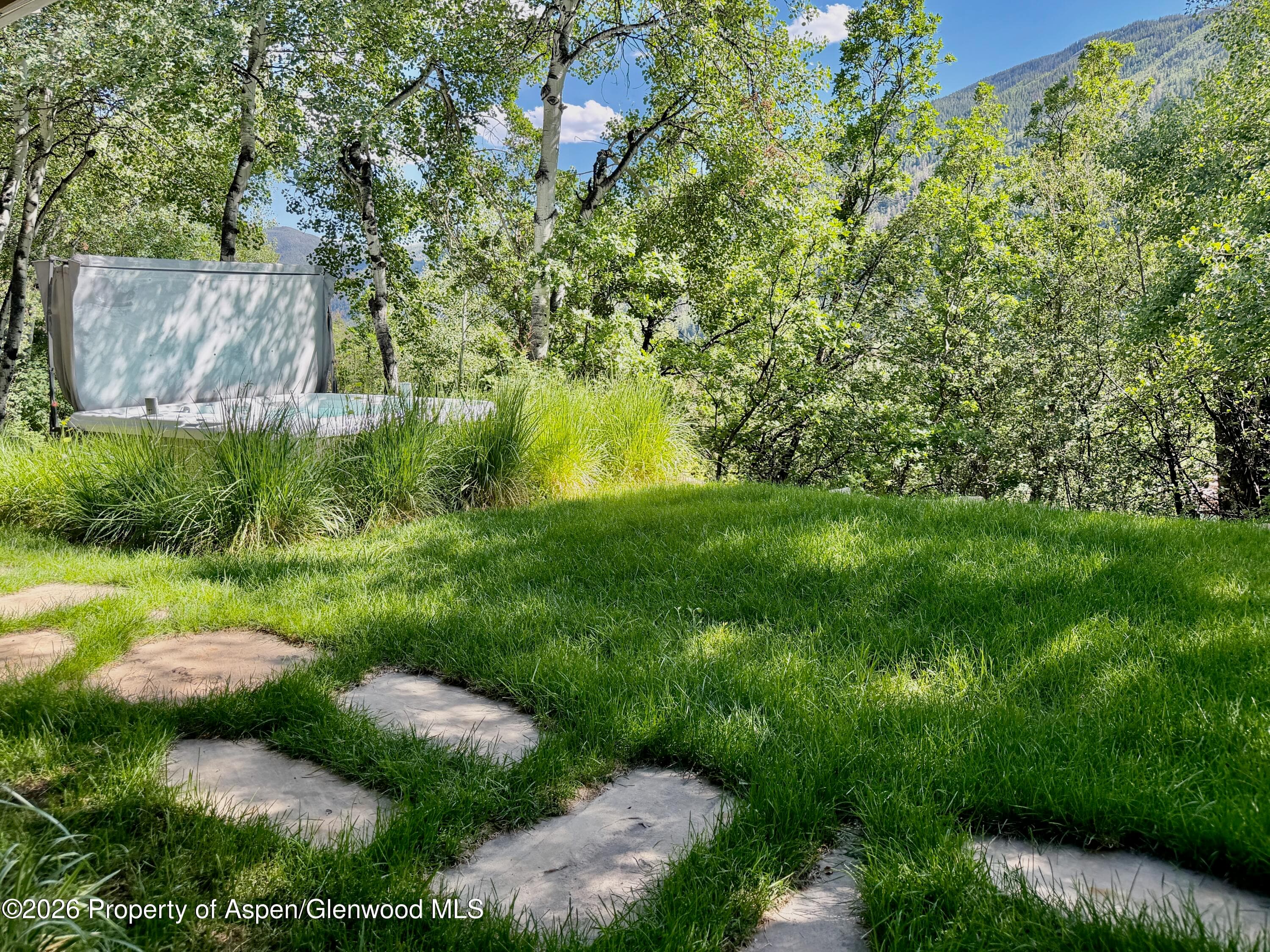 602 Mountain Laurel Drive, Aspen, CO 81611 - Photo 4