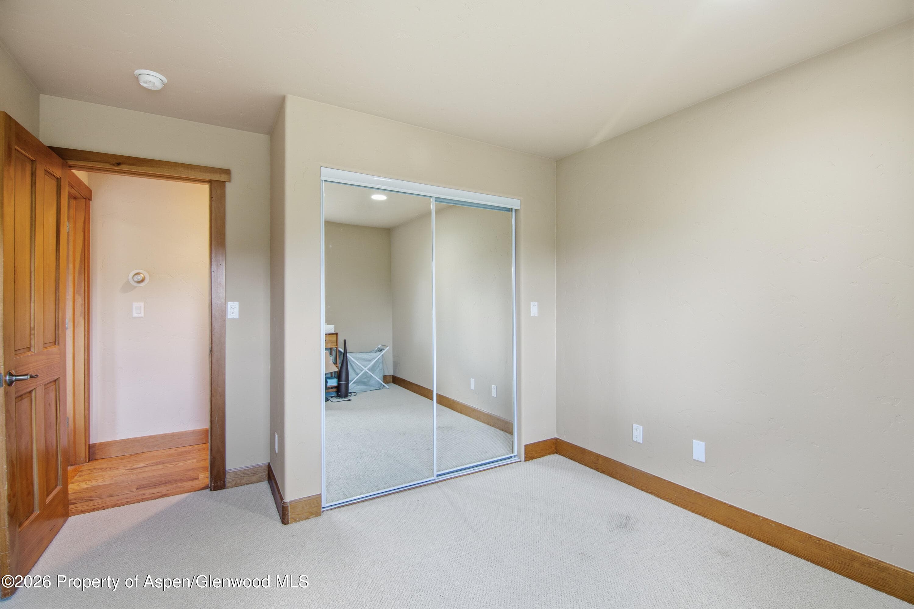 33 Iron Horse Road, Carbondale, CO 81623 - Photo 13