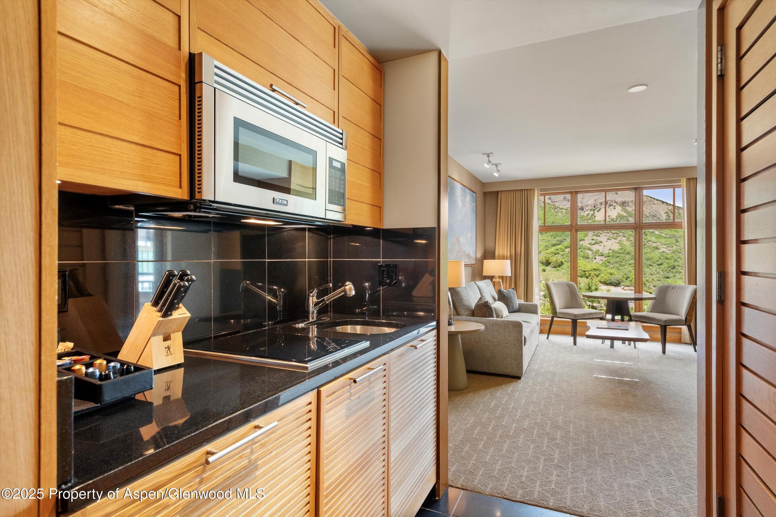 130 Wood Road 614, Snowmass Village, CO 81615 - Photo 10