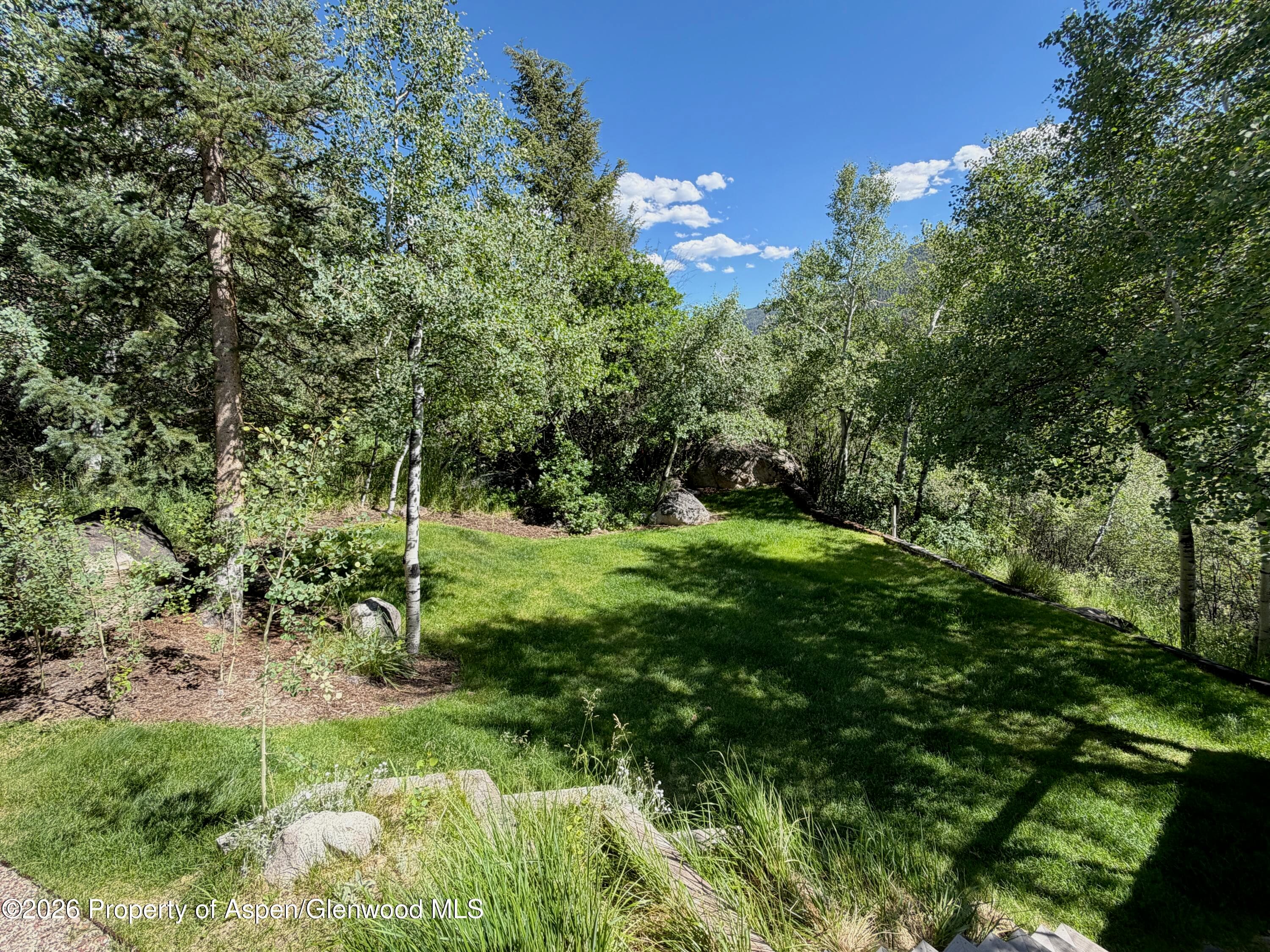 602 Mountain Laurel Drive, Aspen, CO 81611 - Photo 38