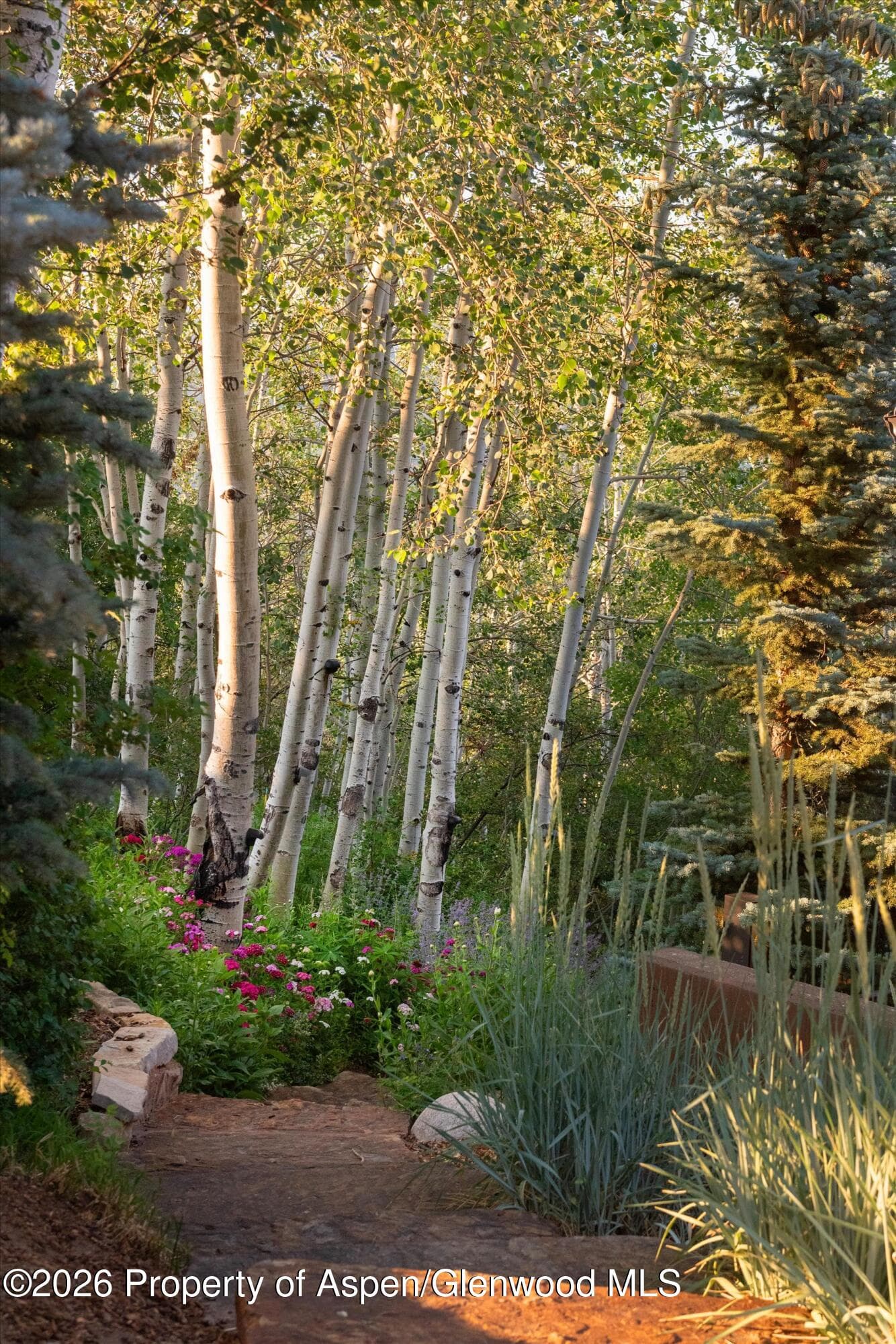 1592 Faraway Road, Snowmass Village, CO 81615 - Photo 63