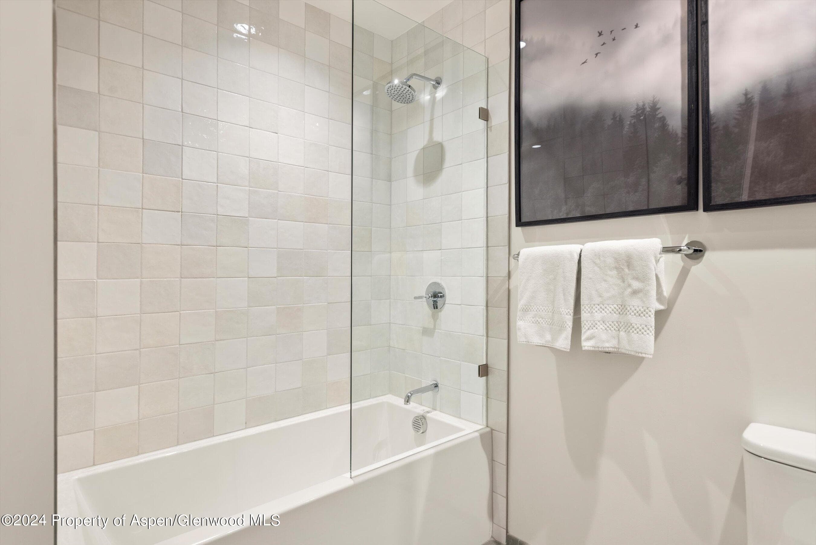 119 Wood Road 608, Snowmass Village, CO 81615 - Photo 10