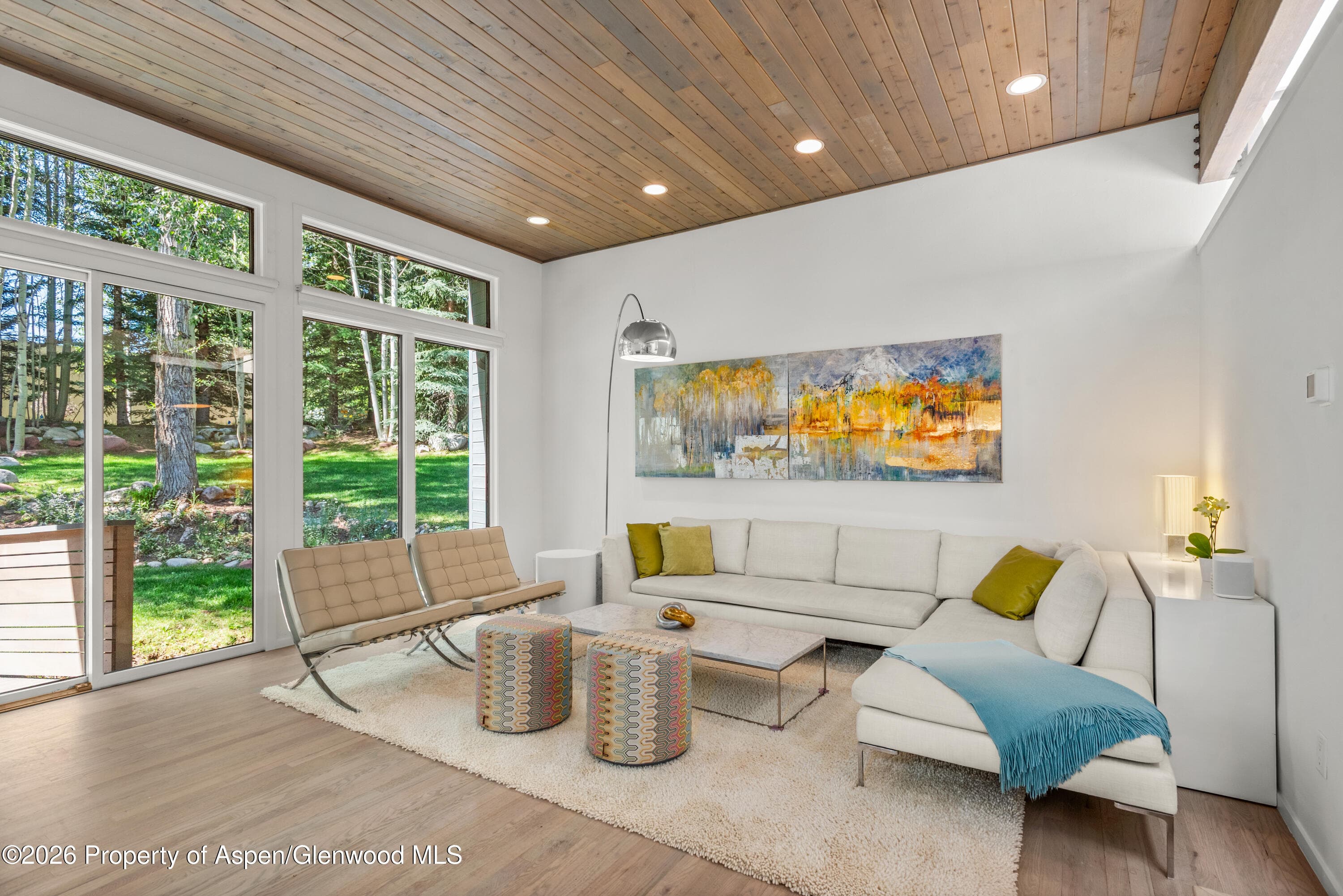 55 Overlook Drive, Aspen, CO 81611 - Photo 4