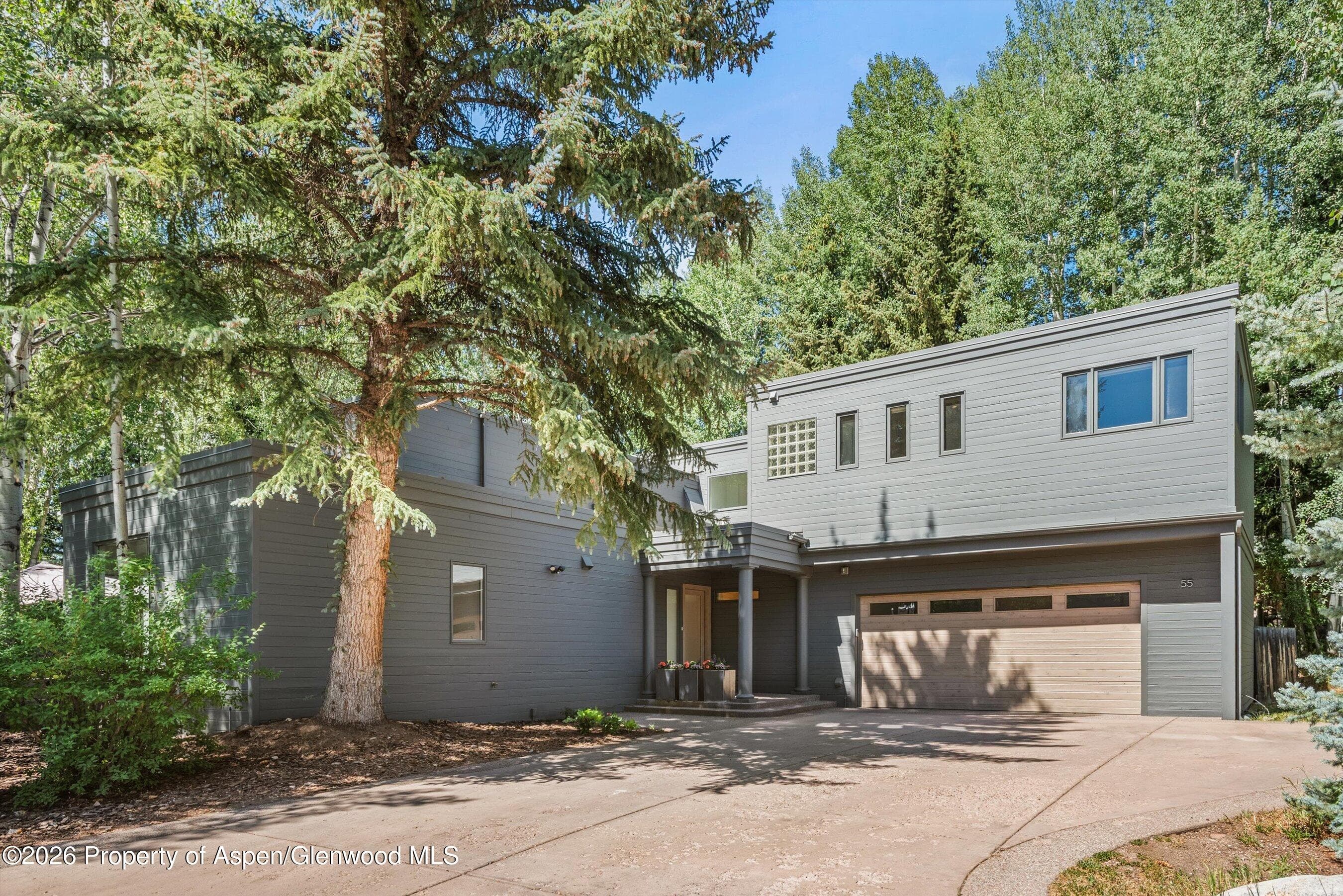 55 Overlook Drive, Aspen, CO 81611 - Photo 29