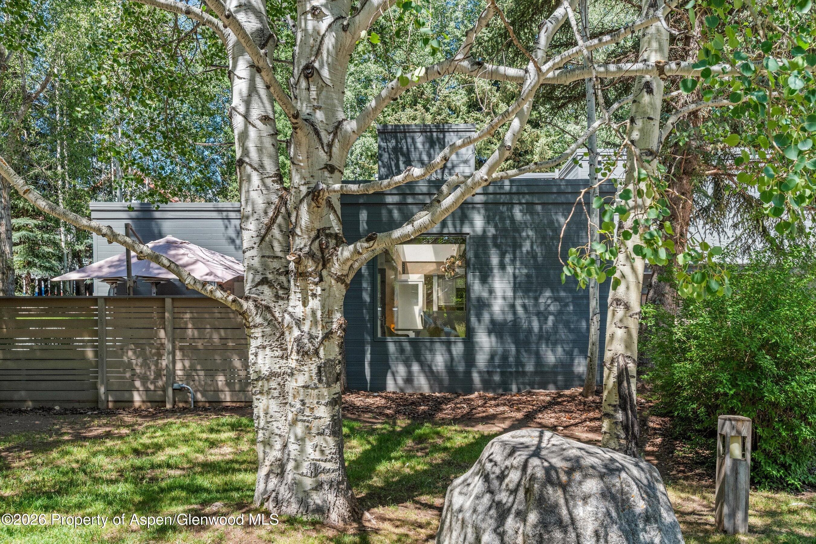 55 Overlook Drive, Aspen, CO 81611 - Photo 30