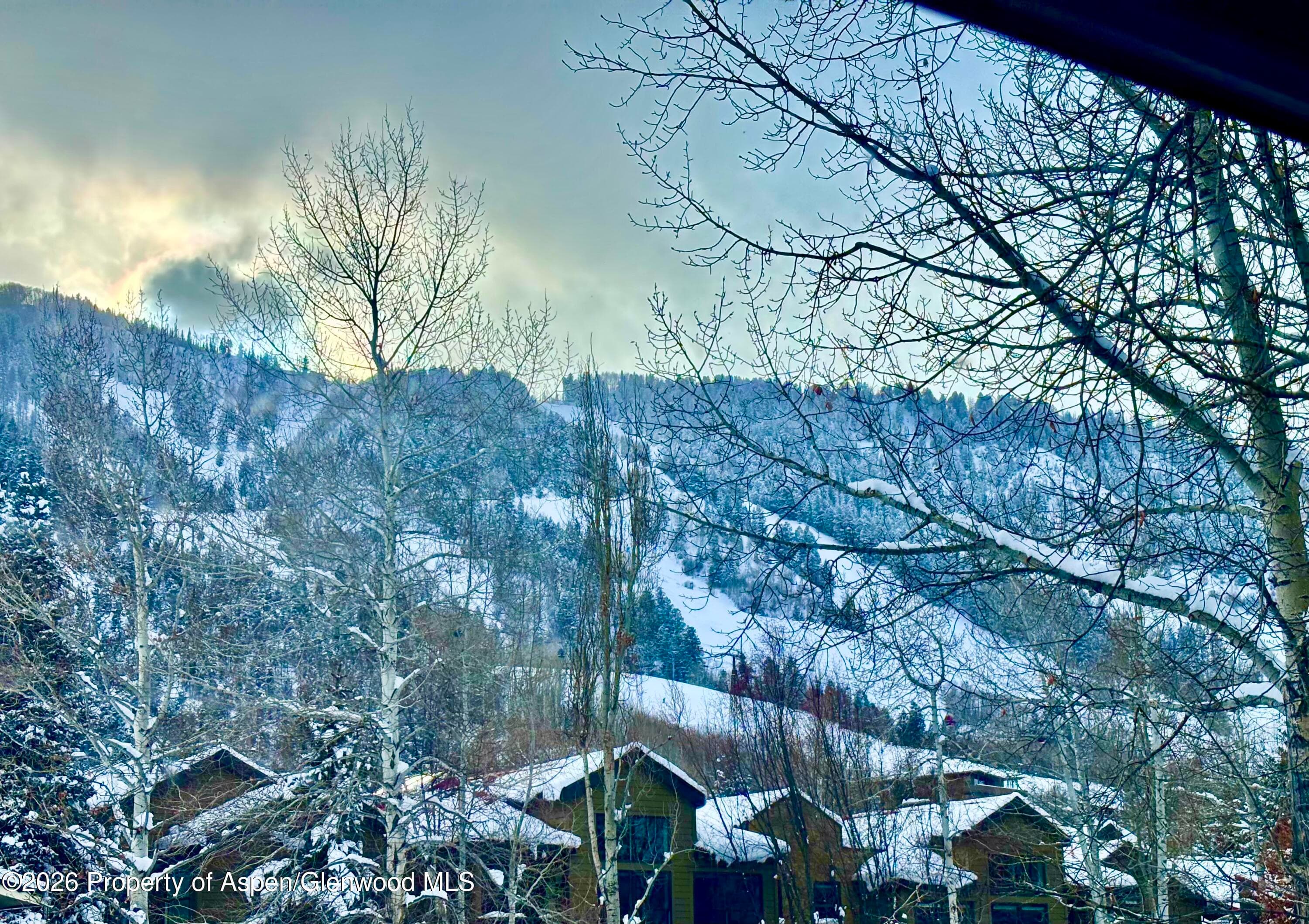 950 E Durant Avenue 4, Aspen, CO 81611 - Photo 31