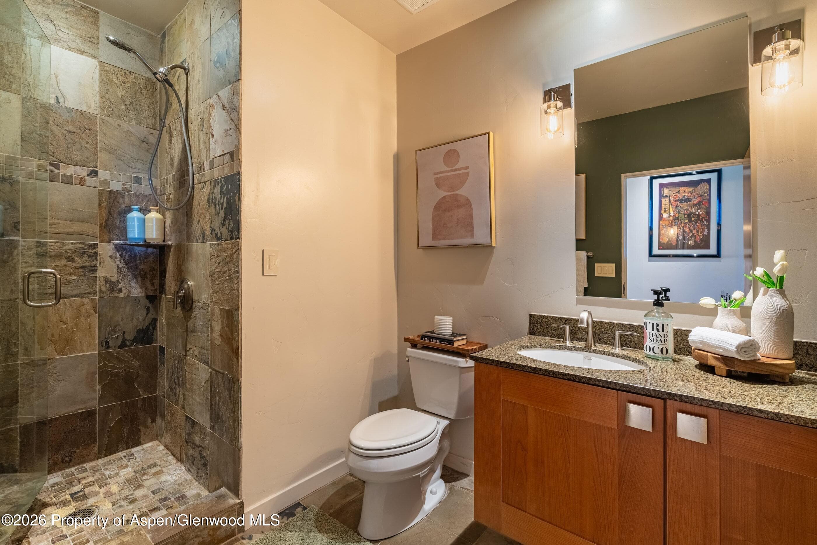 231 Robinson Street 320, Basalt, CO 81621 - Photo 14