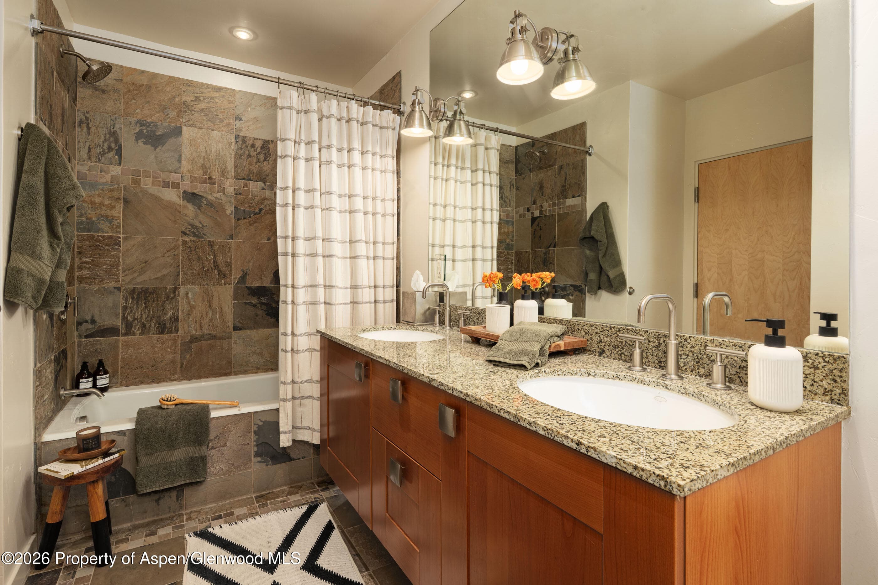 231 Robinson Street 320, Basalt, CO 81621 - Photo 11
