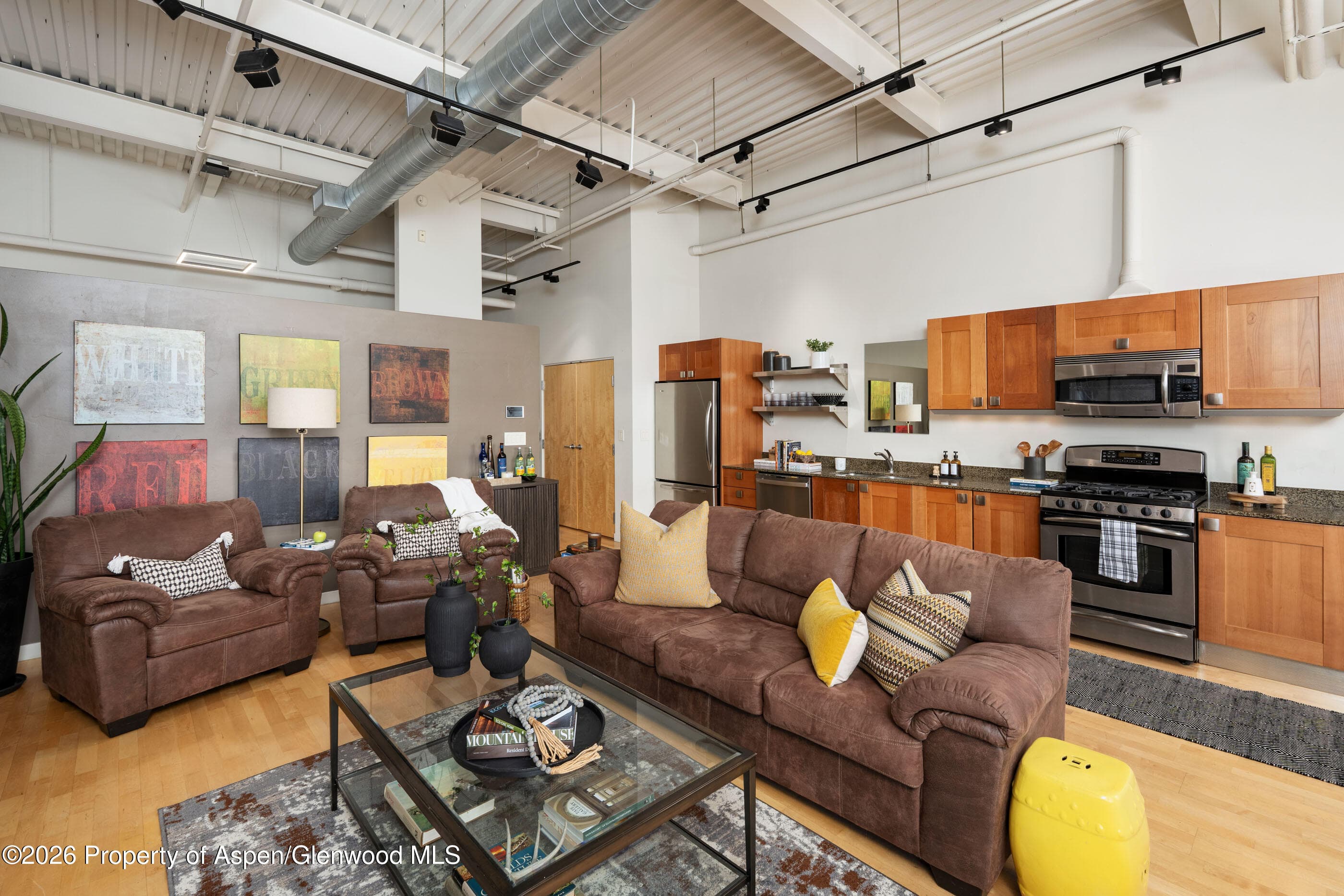 231 Robinson Street 320, Basalt, CO 81621 - Photo 4