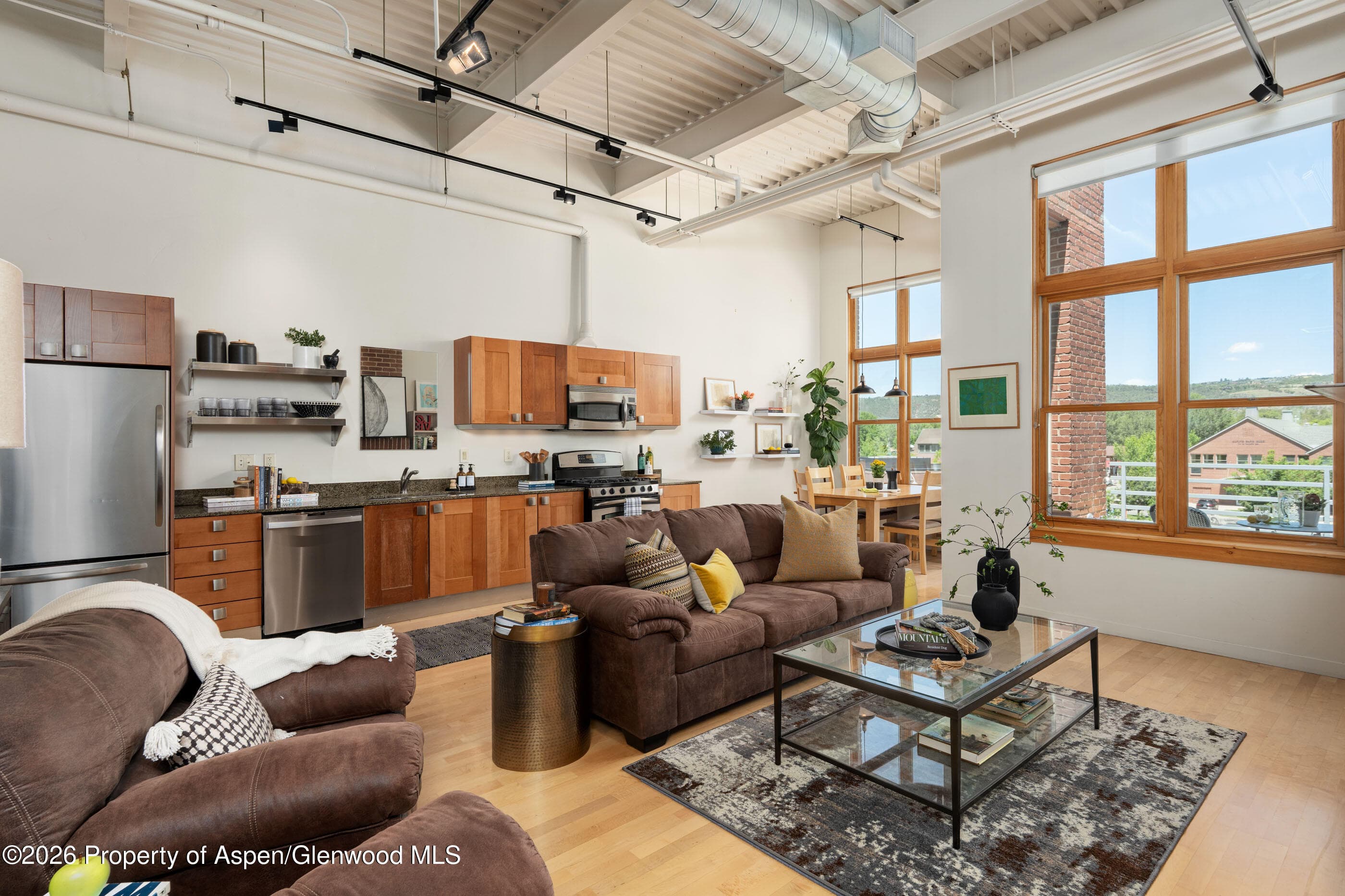 231 Robinson Street 320, Basalt, CO 81621 - Photo 5