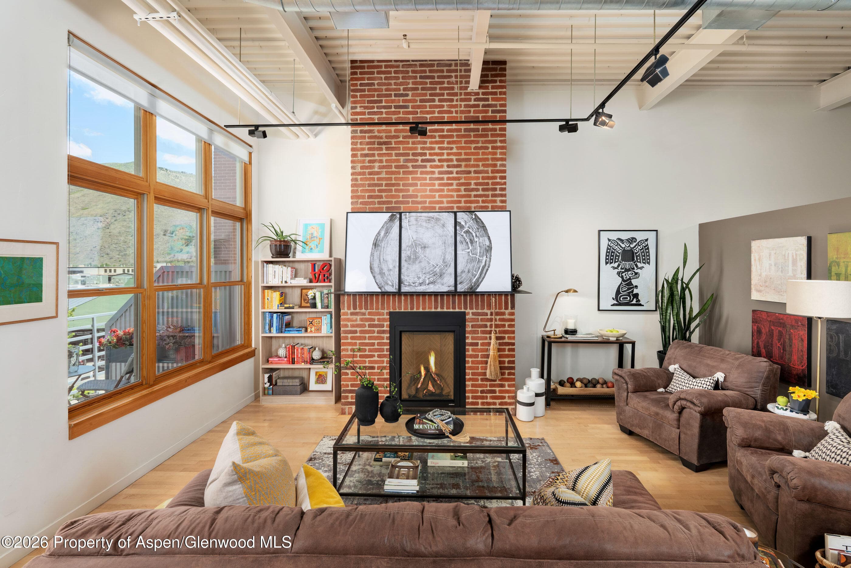 231 Robinson Street 320, Basalt, CO 81621 - Photo 3