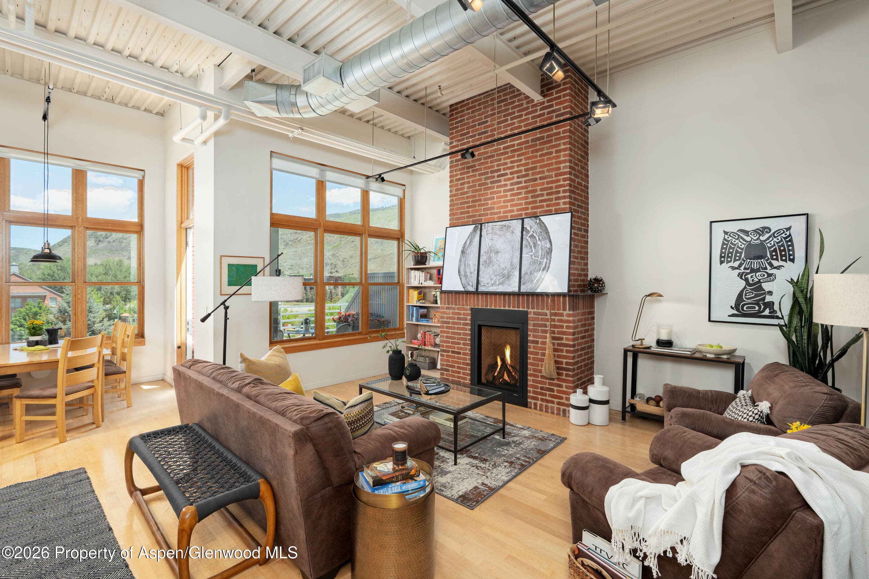 231 Robinson Street 320, Basalt, CO 81621