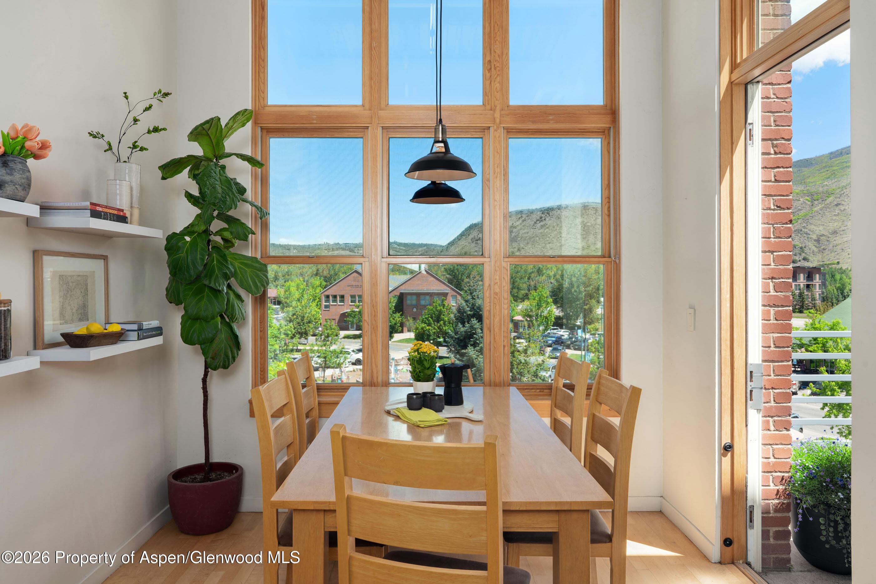 231 Robinson Street 320, Basalt, CO 81621 - Photo 8