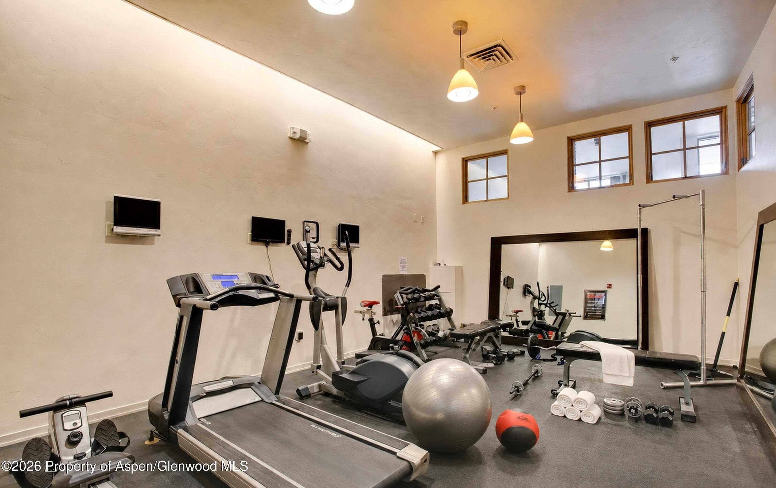 231 Robinson Street 320, Basalt, CO 81621 - Photo 21