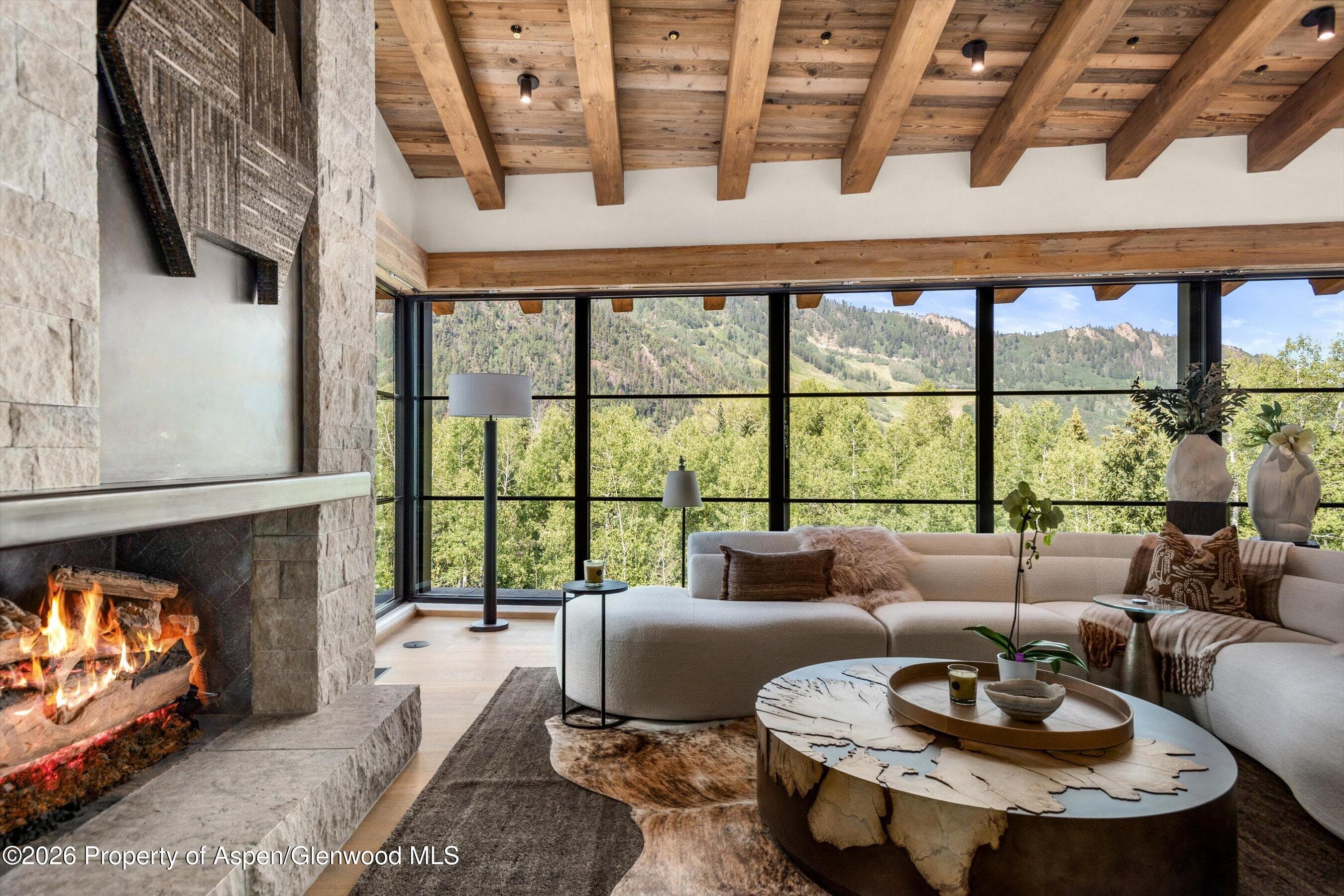 96 Mcskimming Road, Aspen, CO 81611 - Photo 4