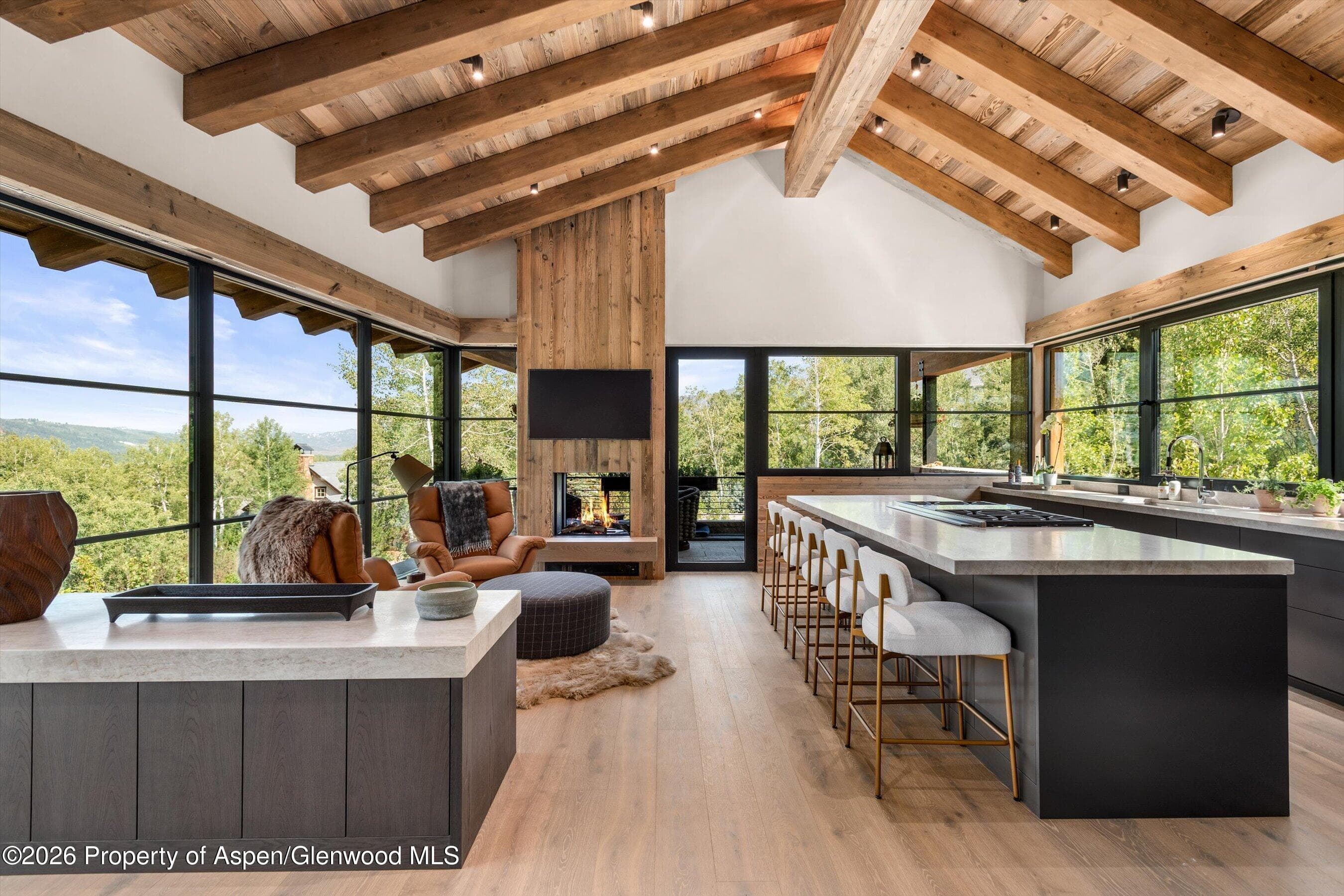 96 Mcskimming Road, Aspen, CO 81611 - Photo 9