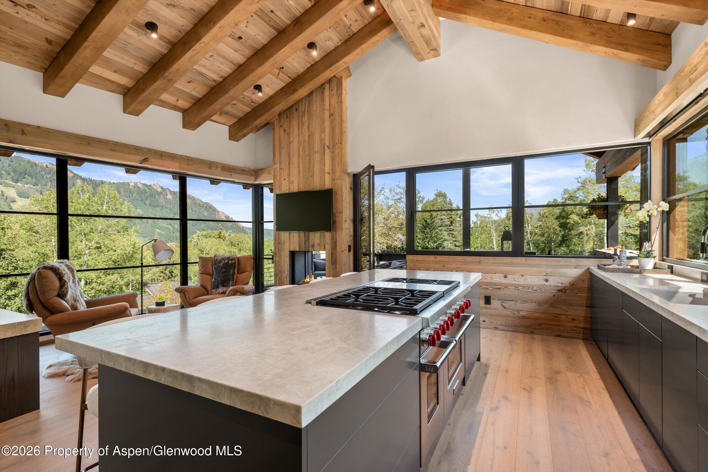 96 Mcskimming Road, Aspen, CO 81611 - Photo 13