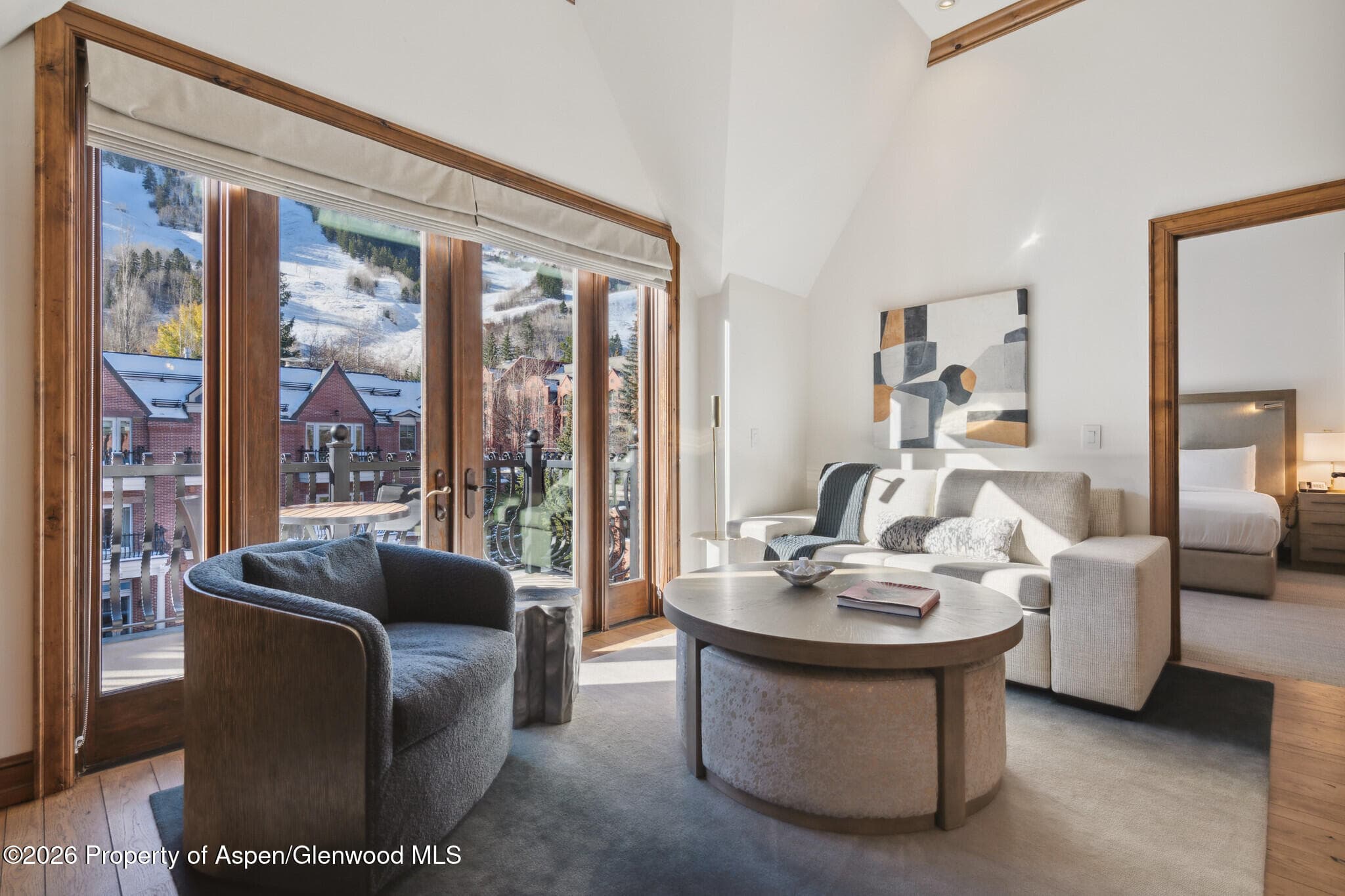 415 E Dean St., Unit 26, Week 33, Aspen, CO 81611 - Photo 11