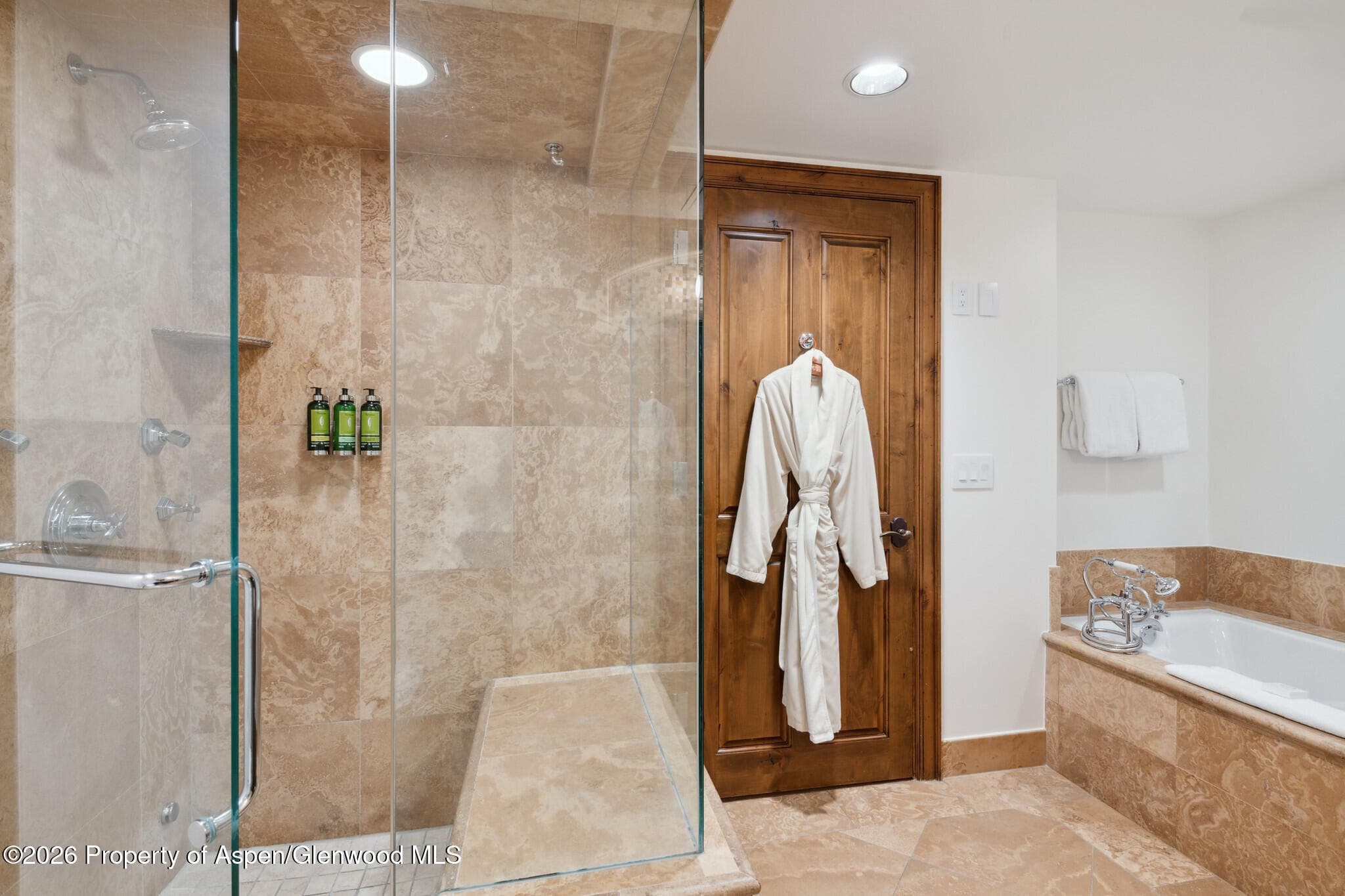 415 E Dean St., Unit 26, Week 33, Aspen, CO 81611 - Photo 20