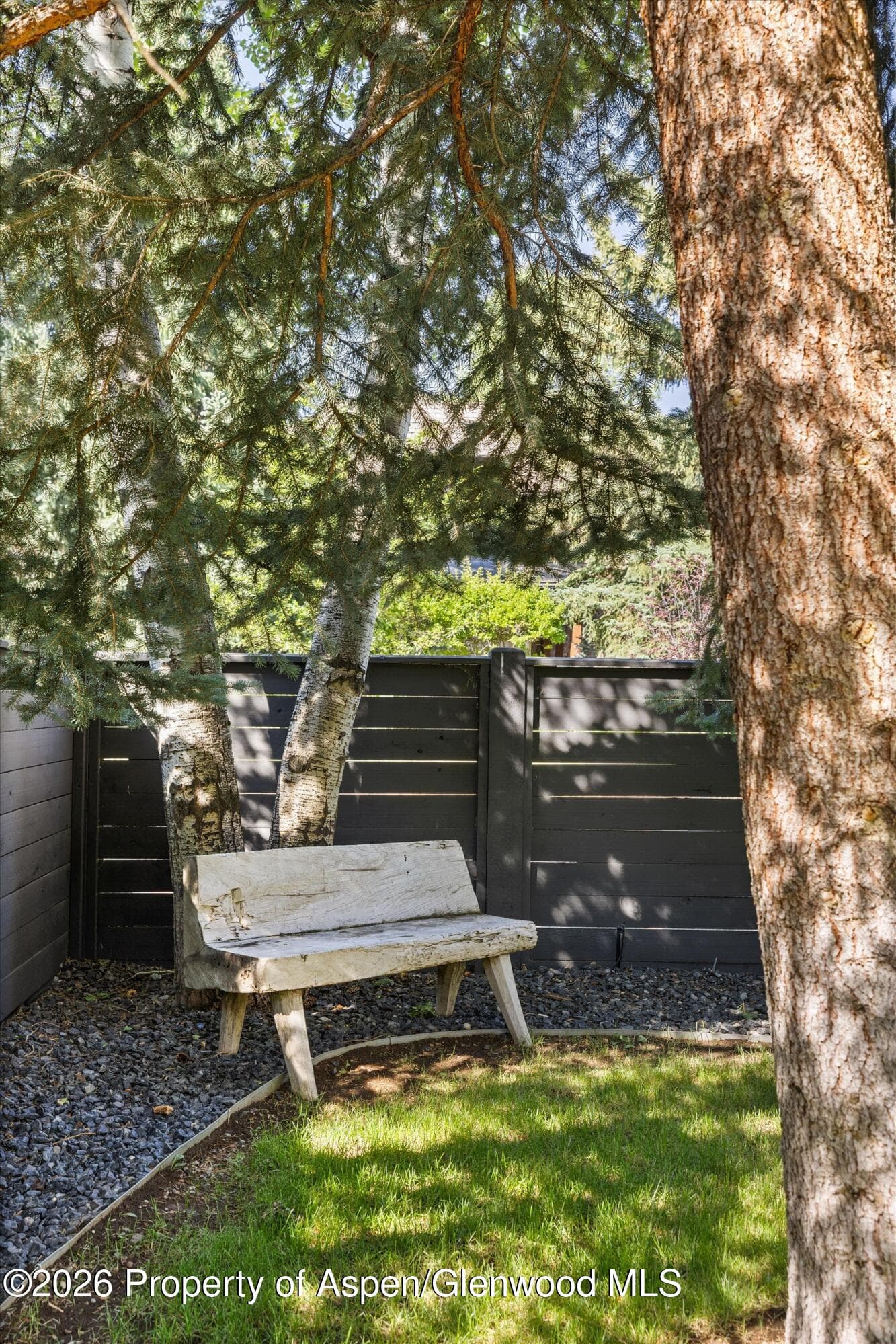 980 Cemetery Lane, Aspen, CO 81611 - Photo 35