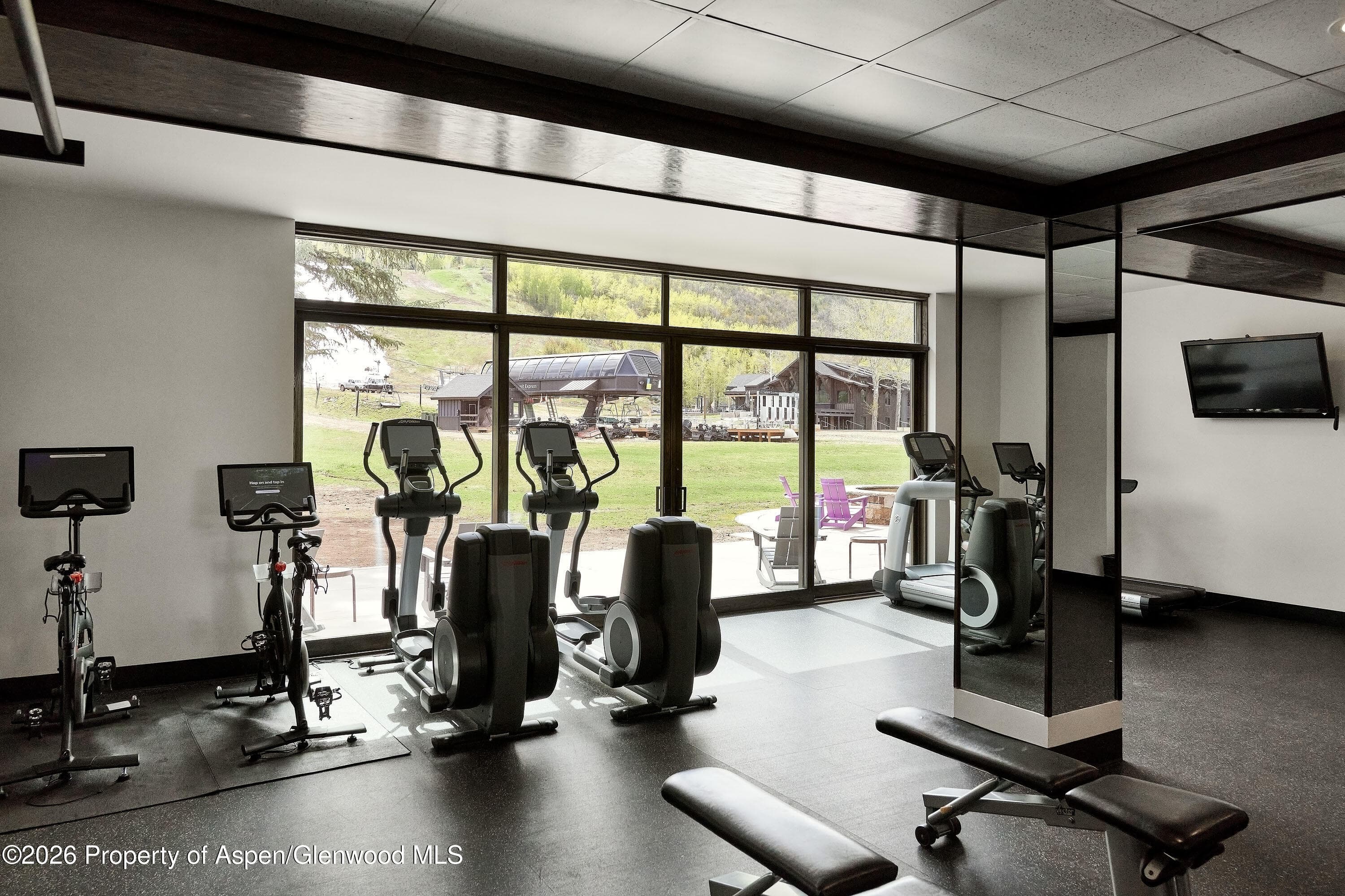 38750 Highway 82 2273, Aspen, CO 81611 - Photo 27