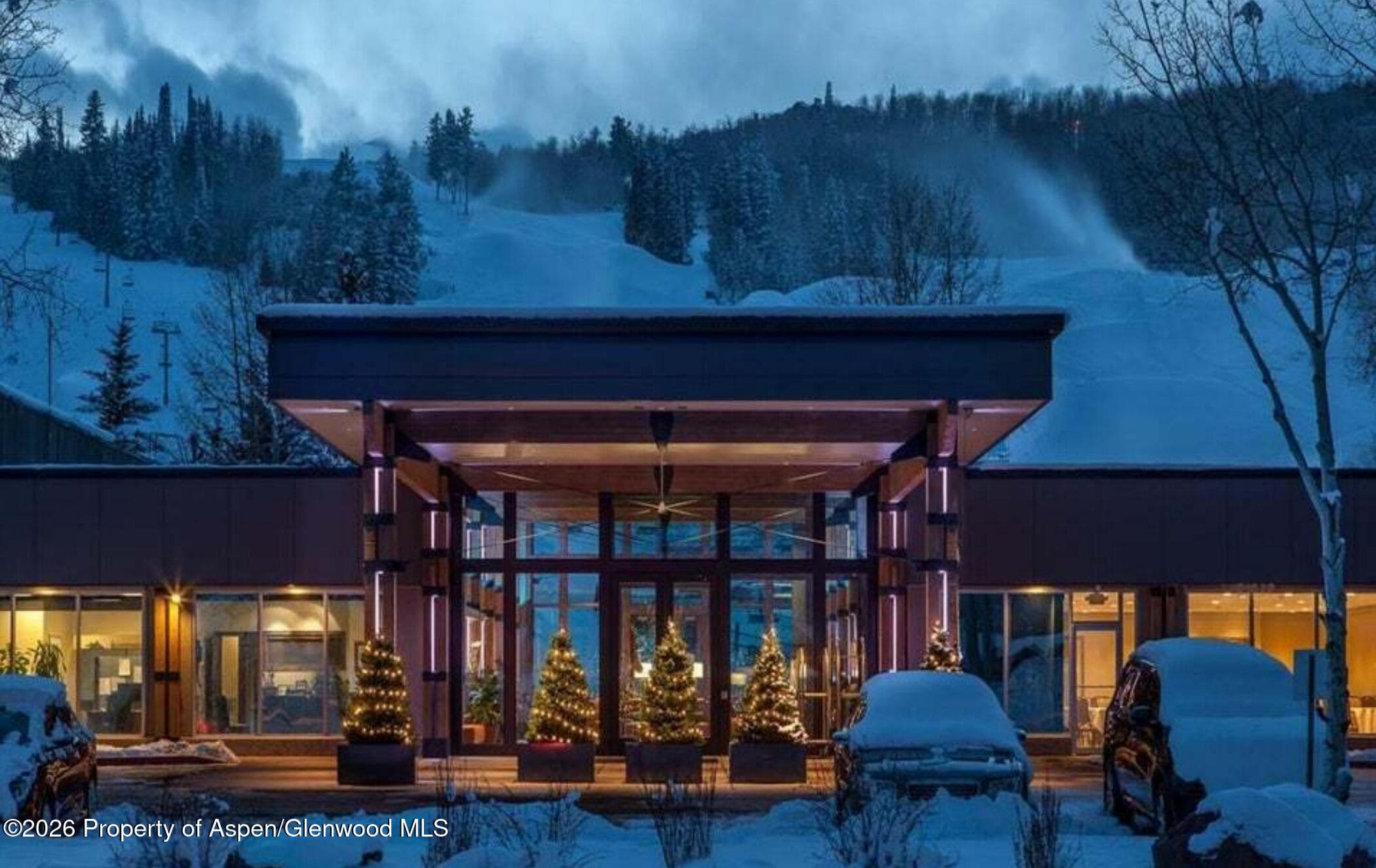 38750 Highway 82 2273, Aspen, CO 81611 - Photo 31