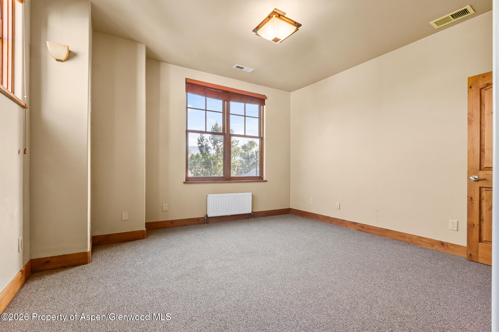 1032 Colorado Avenue, Carbondale, CO 81623 - Photo 24