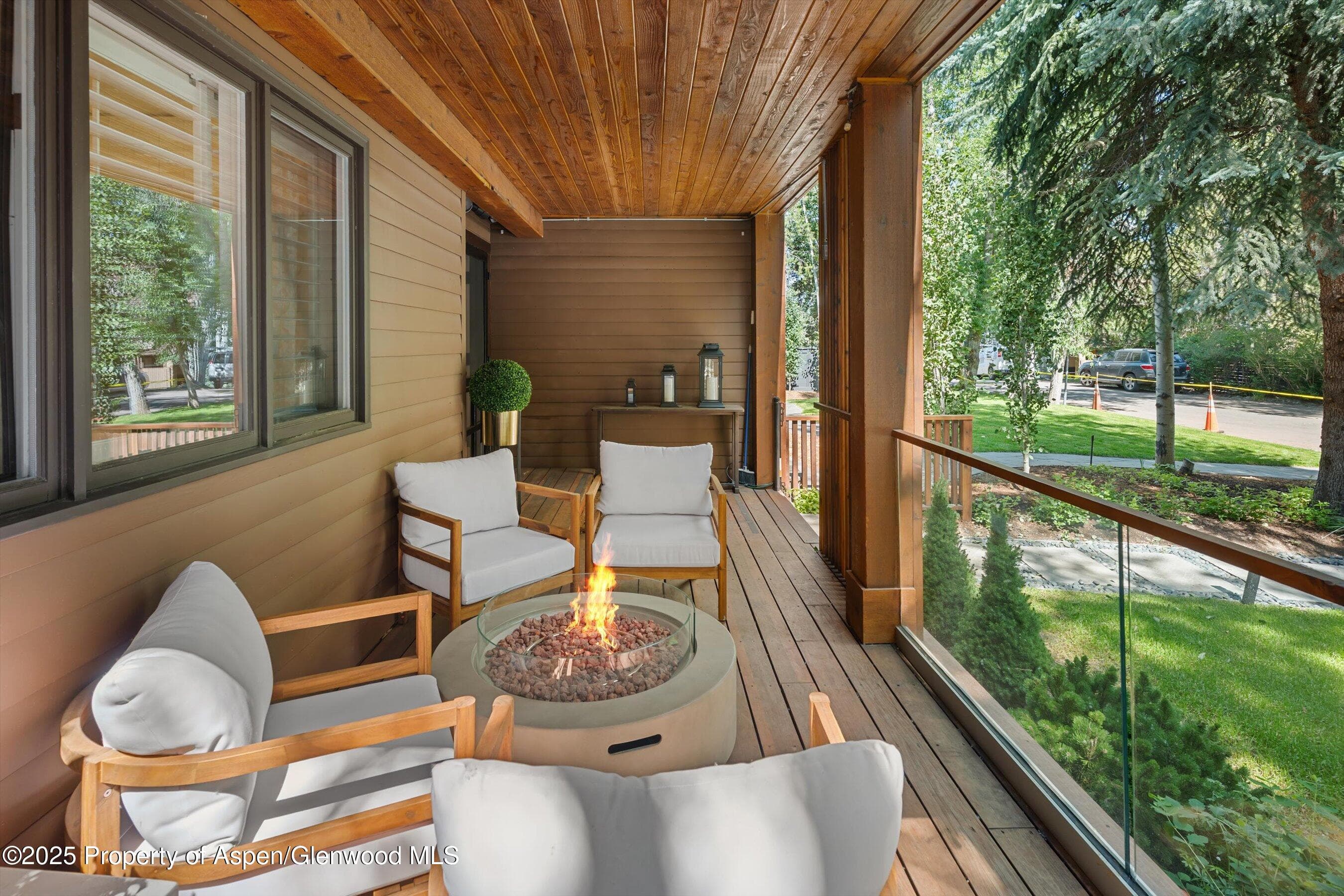 901 W Francis Street, Aspen, CO 81611 - Photo 31