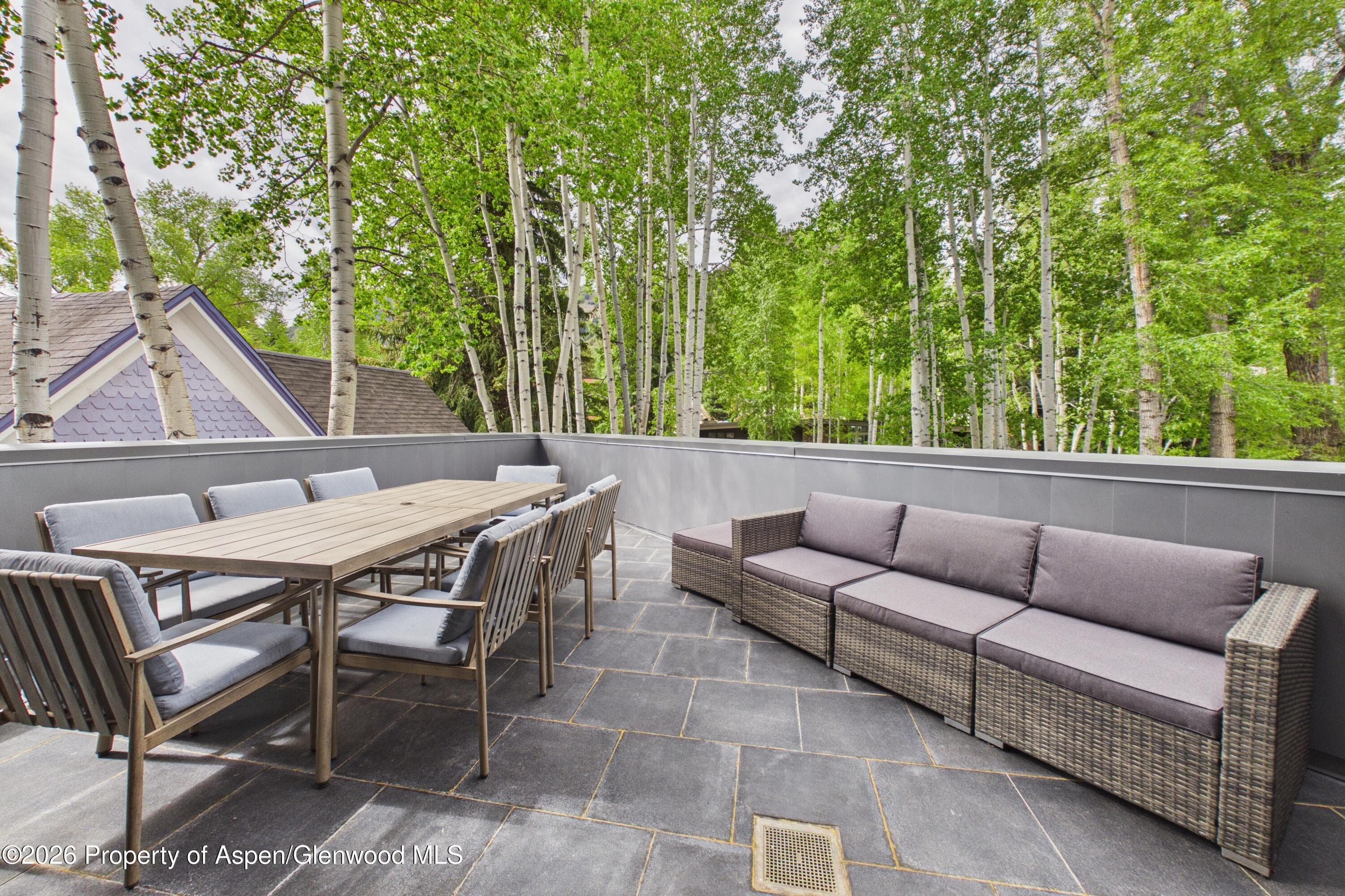 506 W Hallam Street, Aspen, CO 81611 - Photo 11