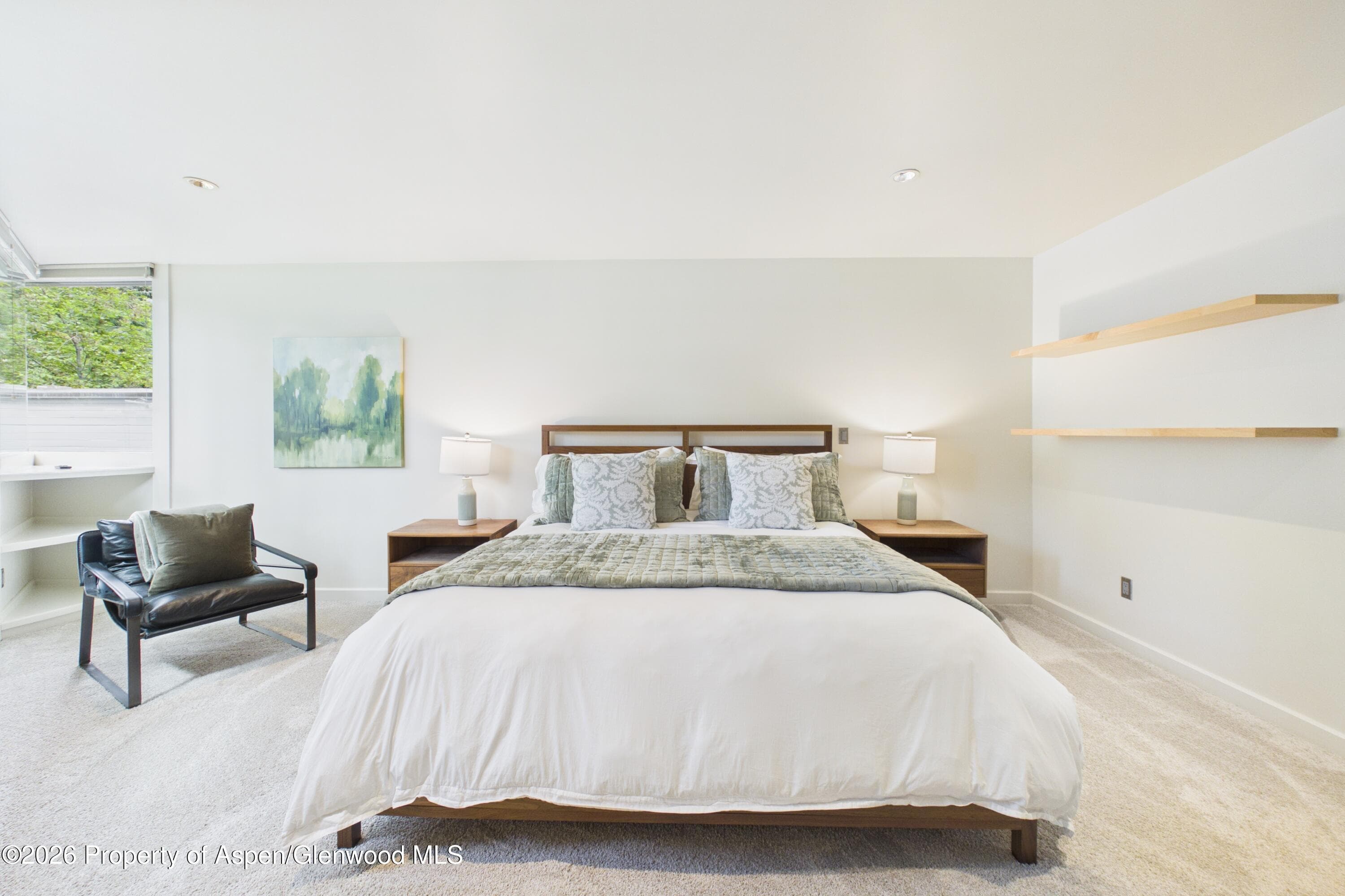 506 W Hallam Street, Aspen, CO 81611 - Photo 20