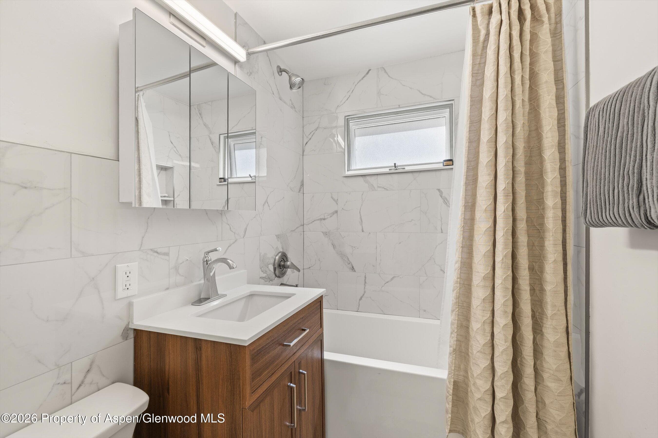 217 W Bleeker Street, Aspen, CO 81611 - Photo 8