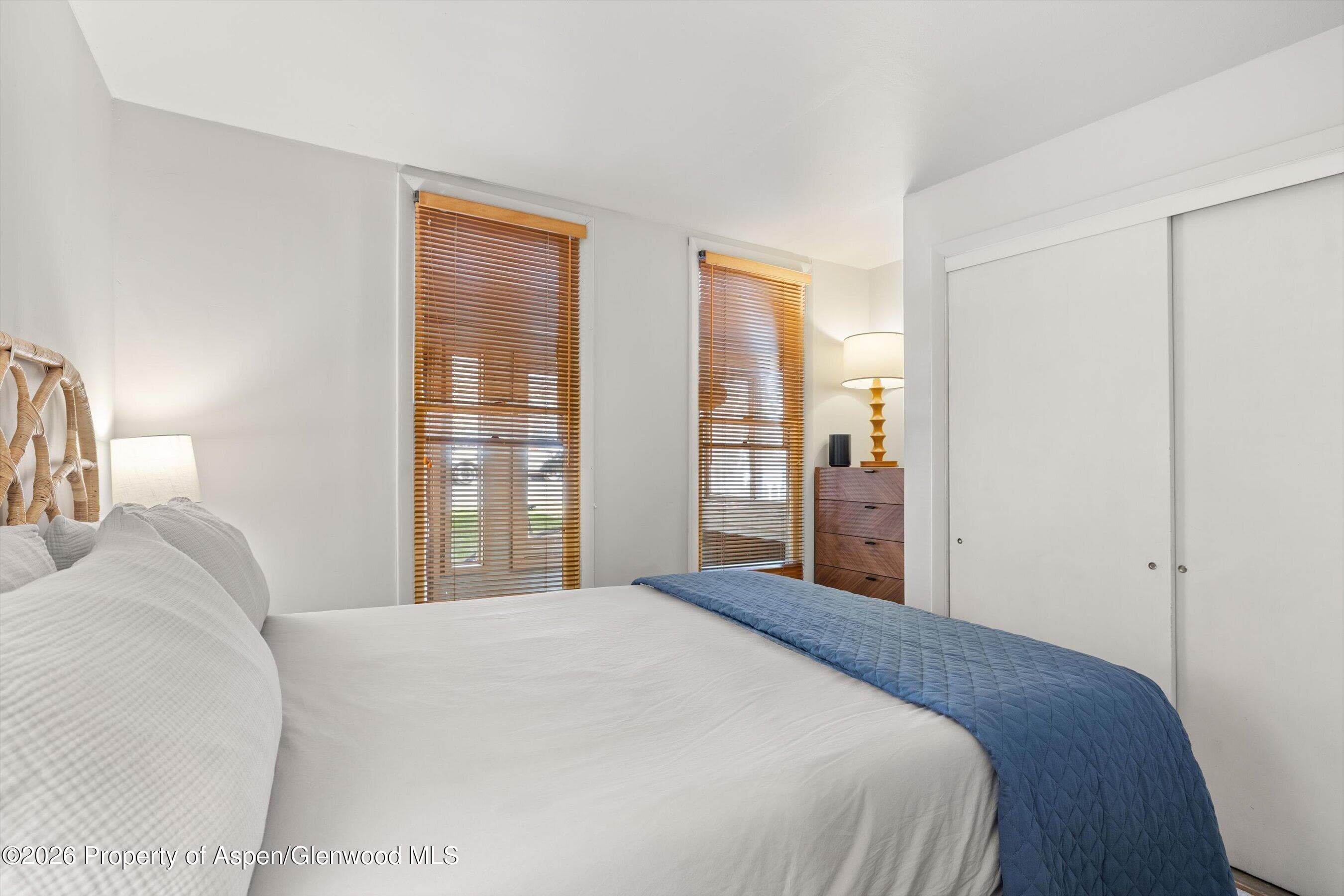 217 W Bleeker Street, Aspen, CO 81611 - Photo 7