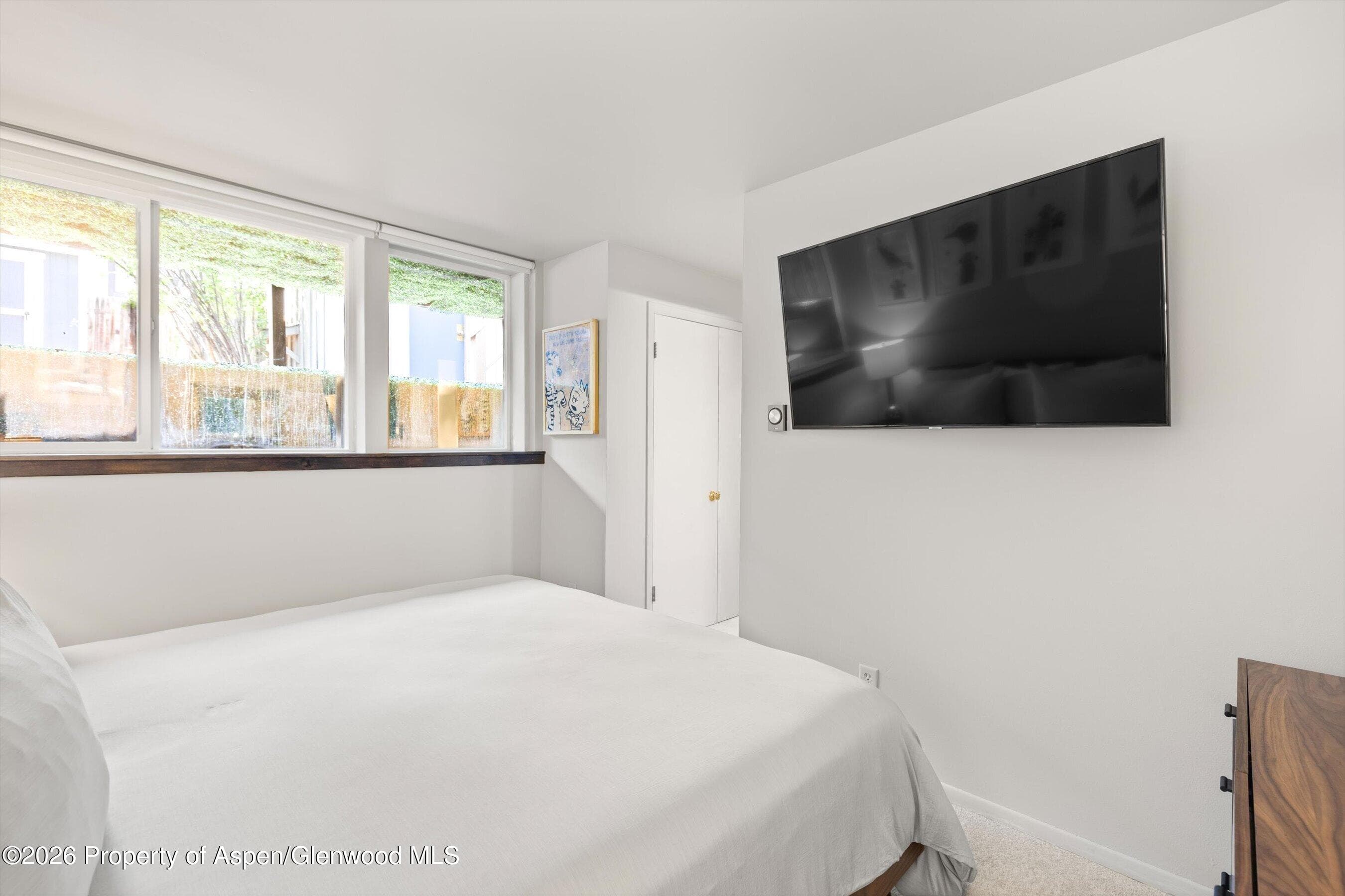 217 W Bleeker Street, Aspen, CO 81611 - Photo 9
