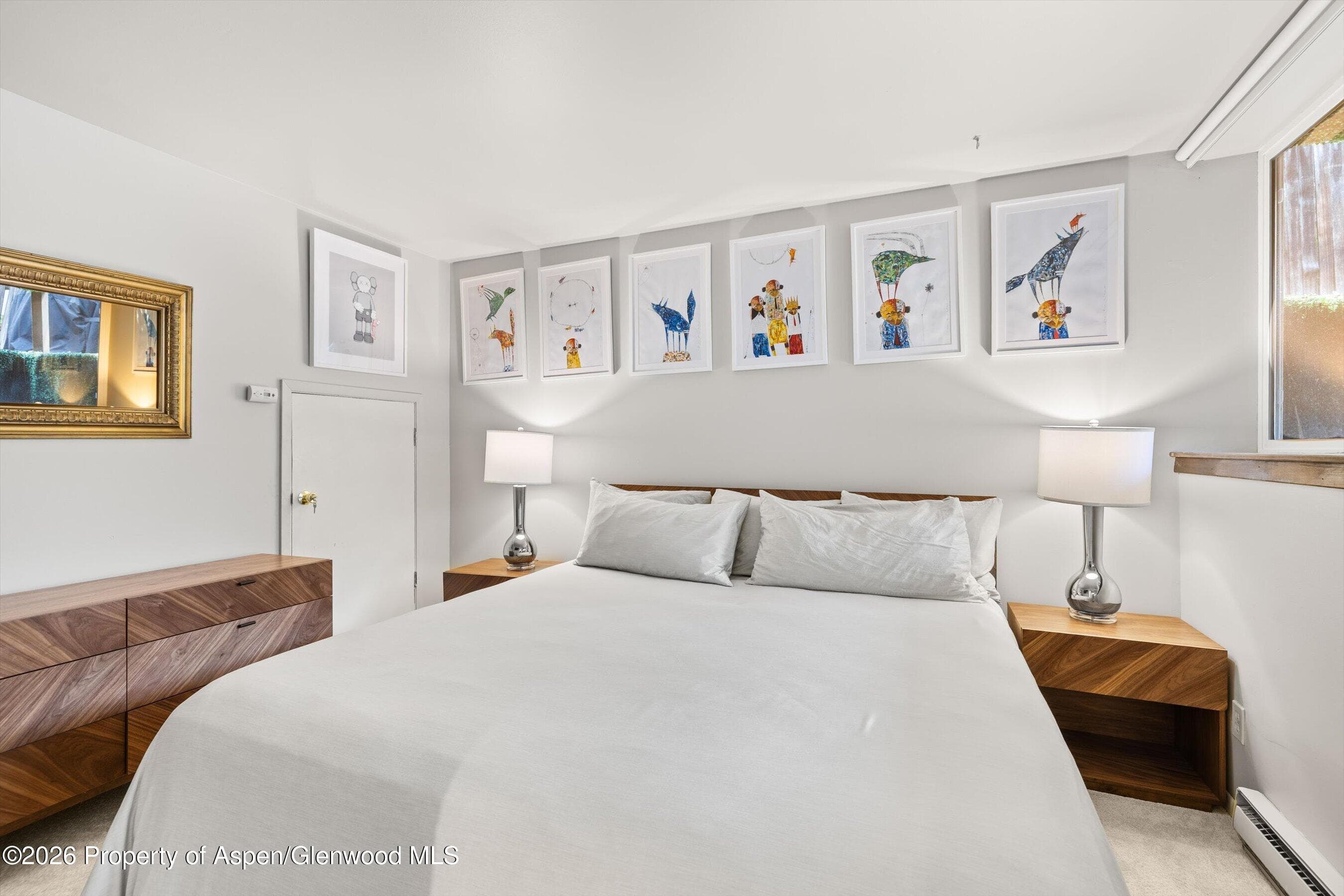 217 W Bleeker Street, Aspen, CO 81611 - Photo 10