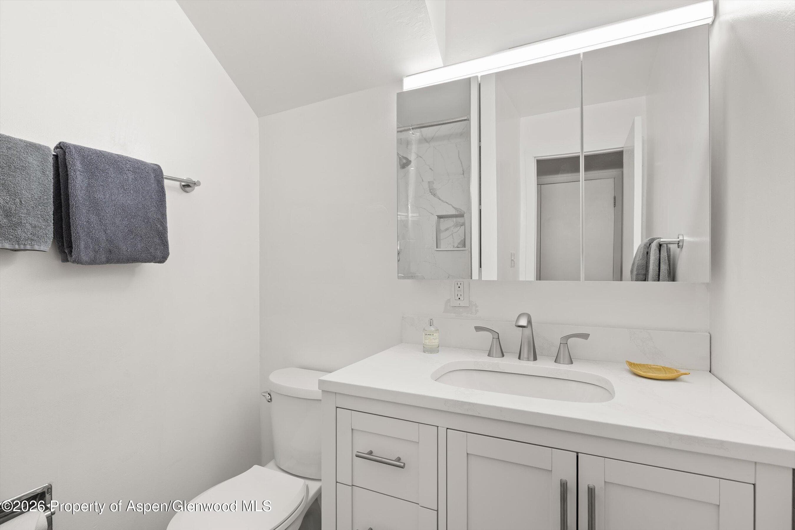 217 W Bleeker Street, Aspen, CO 81611 - Photo 11