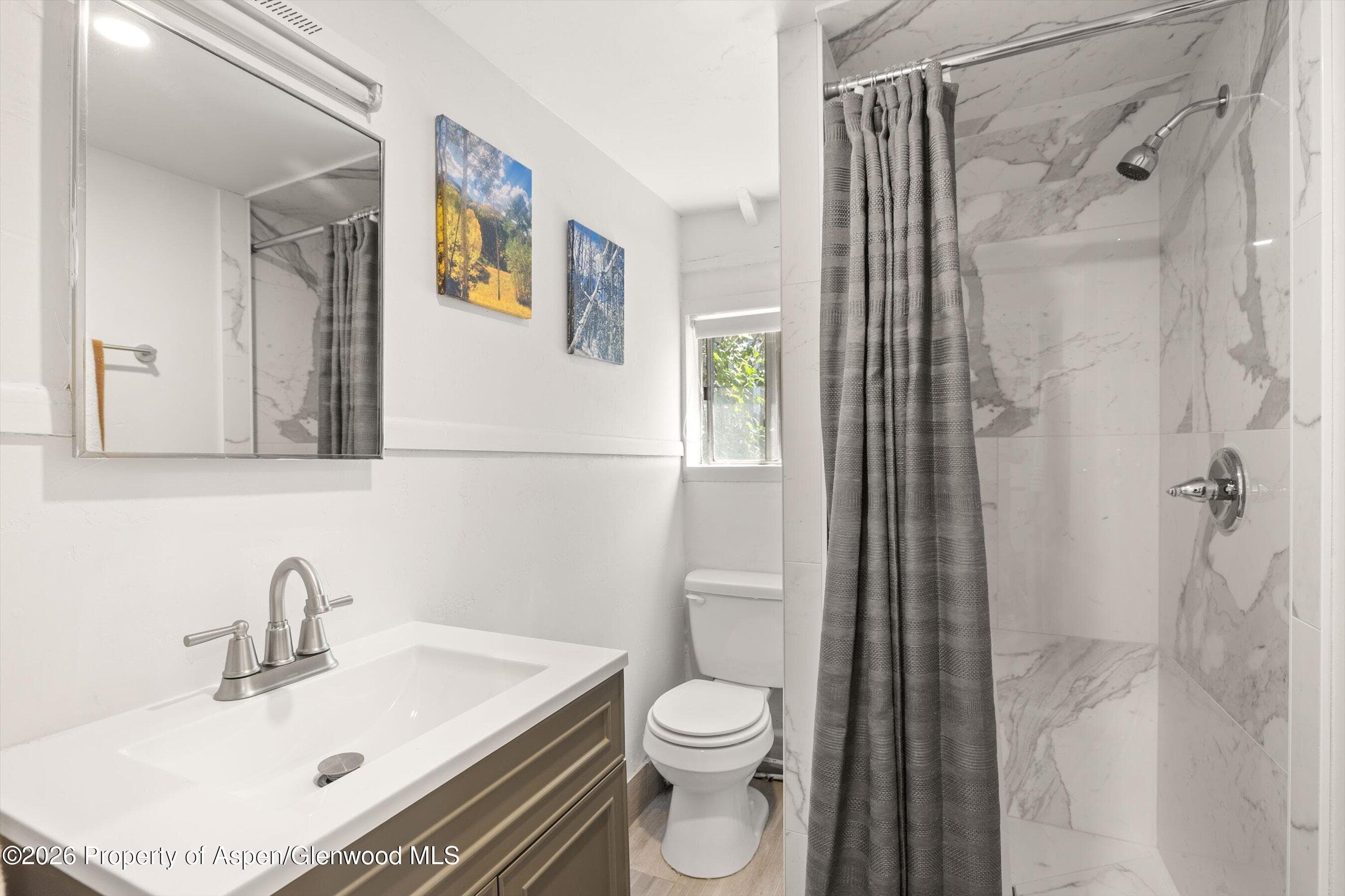 217 W Bleeker Street, Aspen, CO 81611 - Photo 13