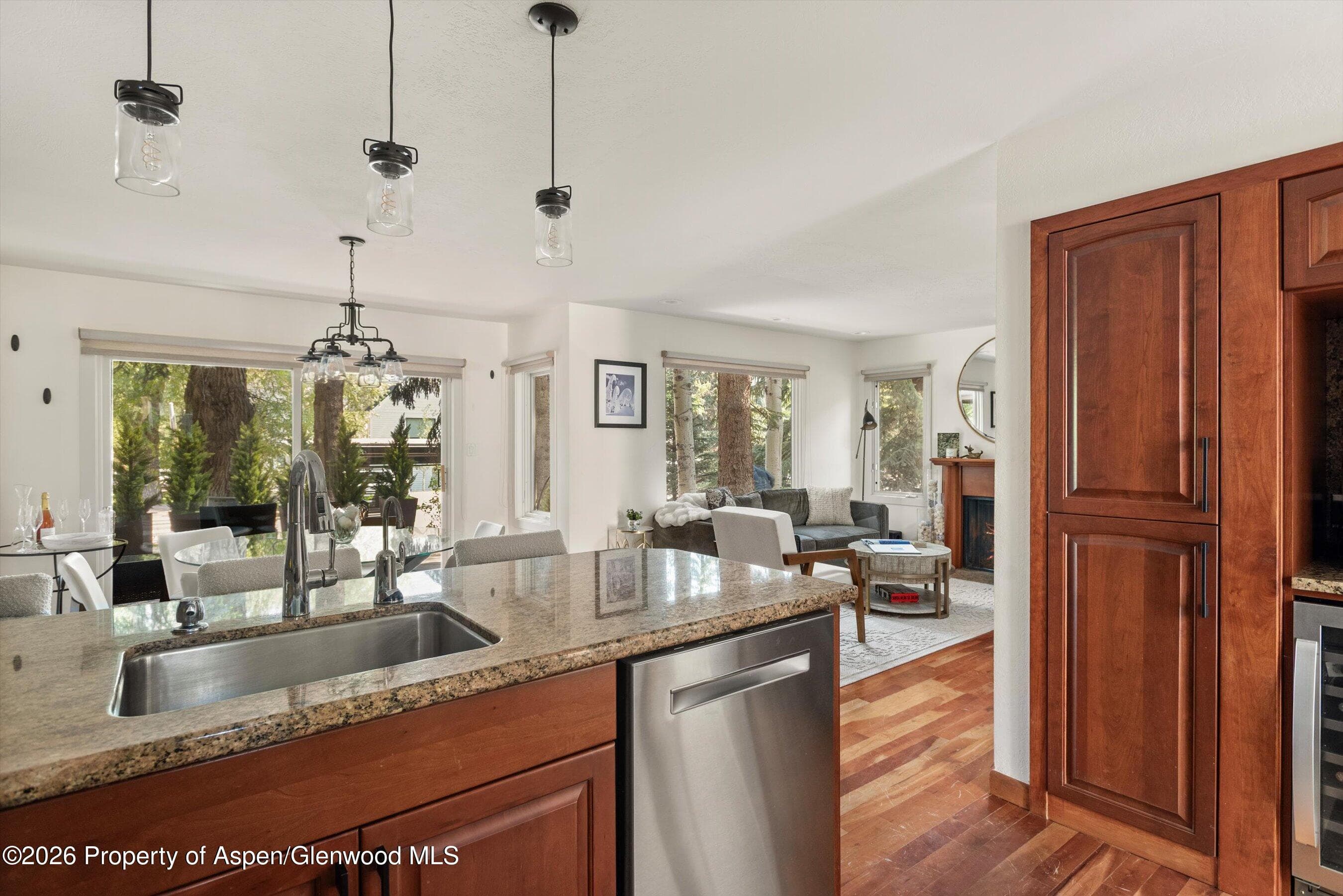 814 W Bleeker Street B5, Aspen, CO 81611 - Photo 5