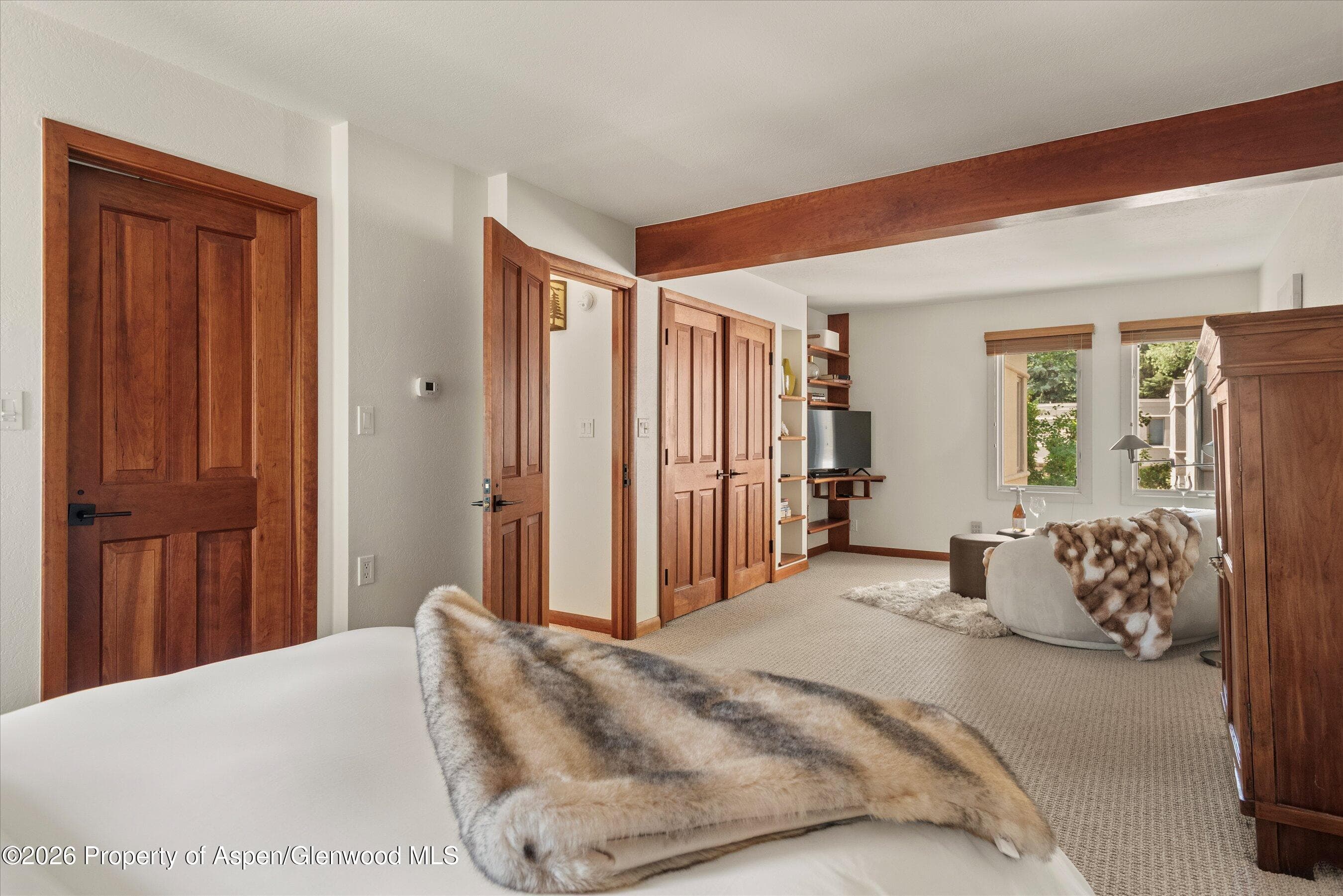 814 W Bleeker Street B5, Aspen, CO 81611 - Photo 11
