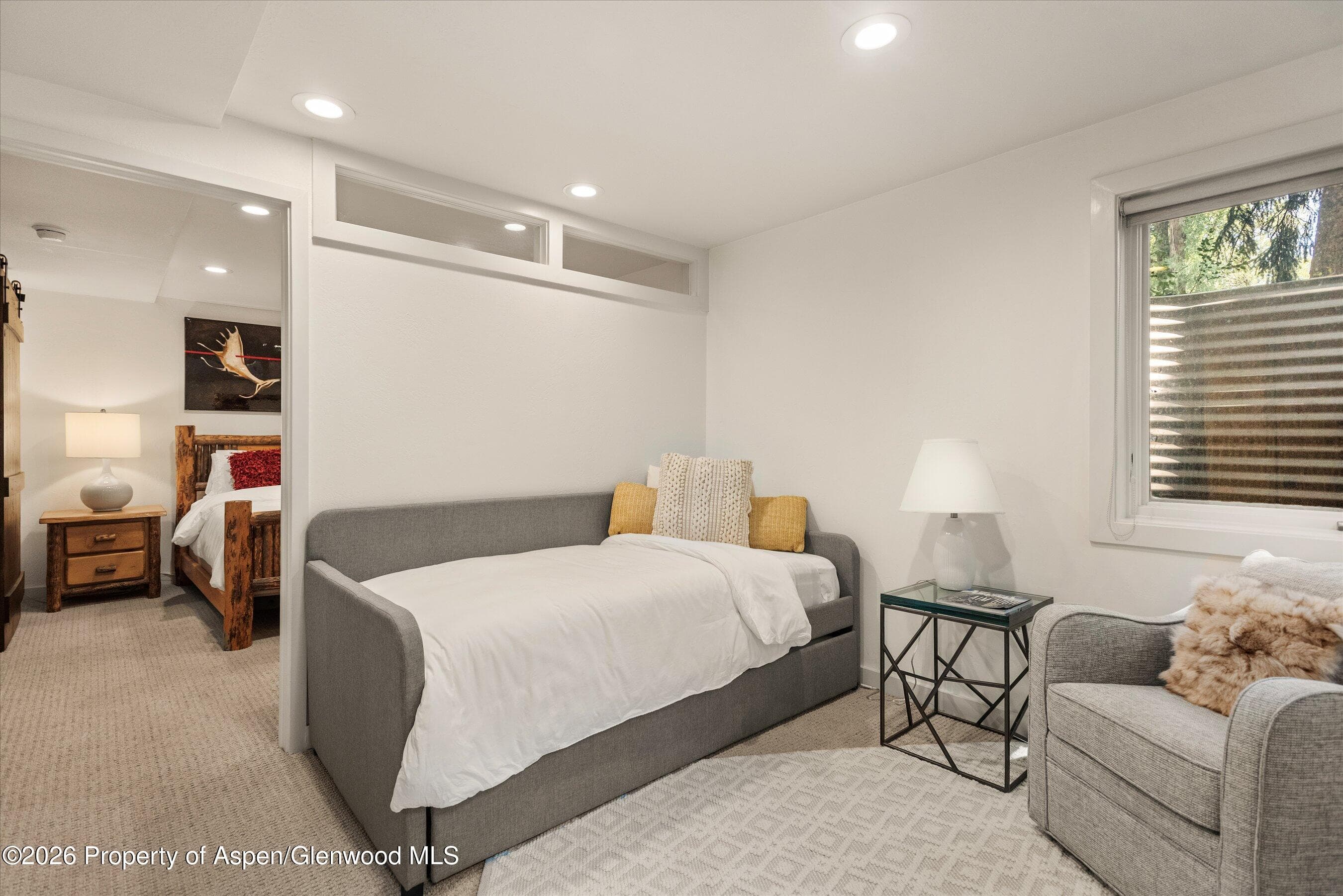 814 W Bleeker Street B5, Aspen, CO 81611 - Photo 16