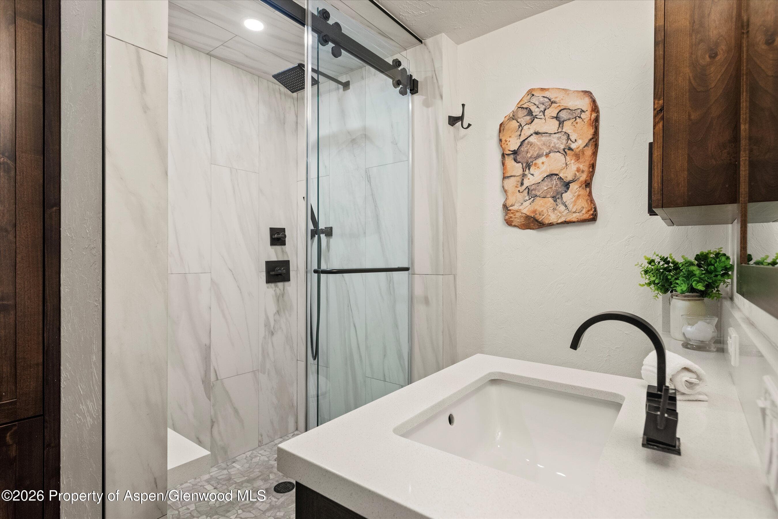 814 W Bleeker Street B5, Aspen, CO 81611 - Photo 15